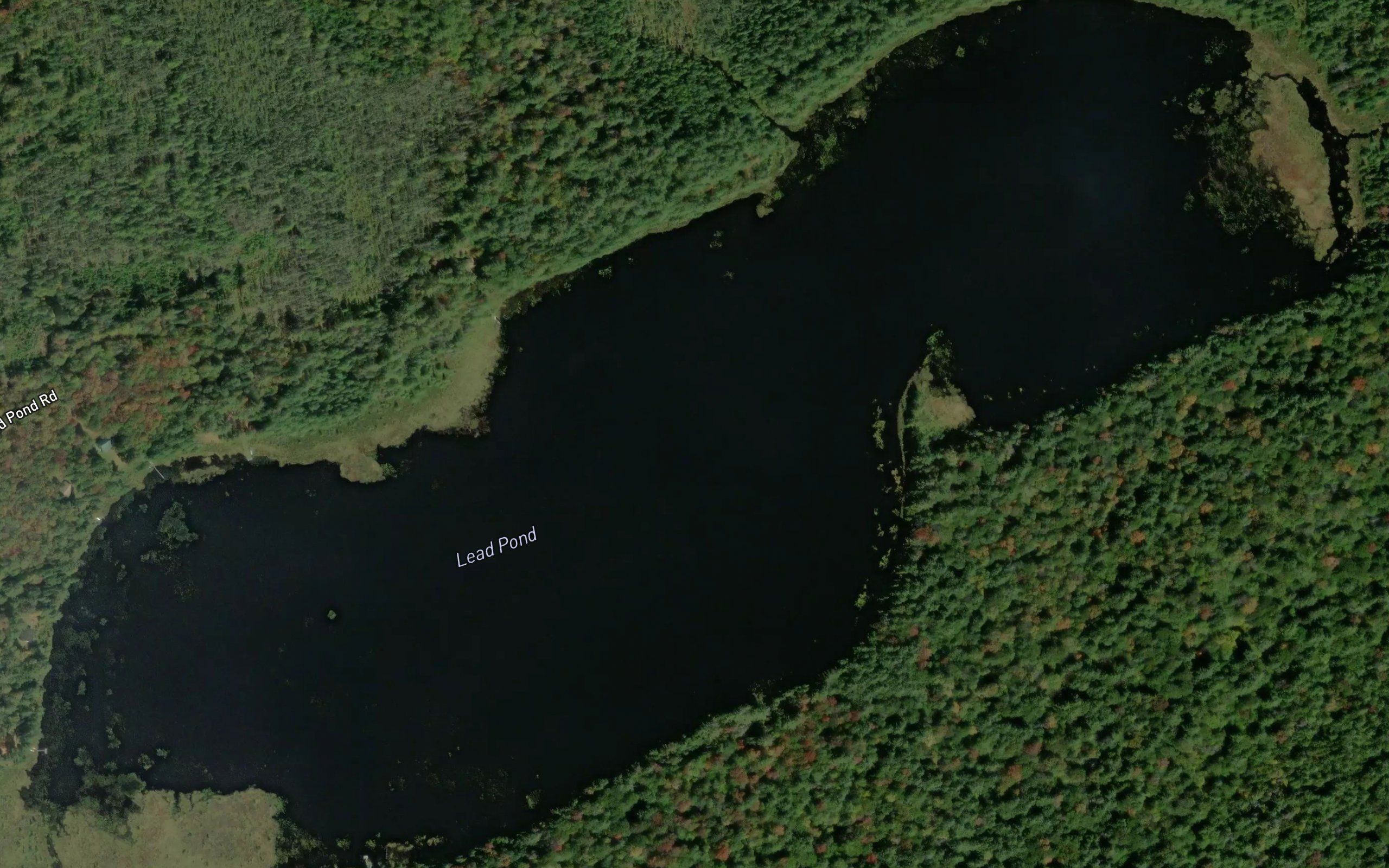 Lead Pond