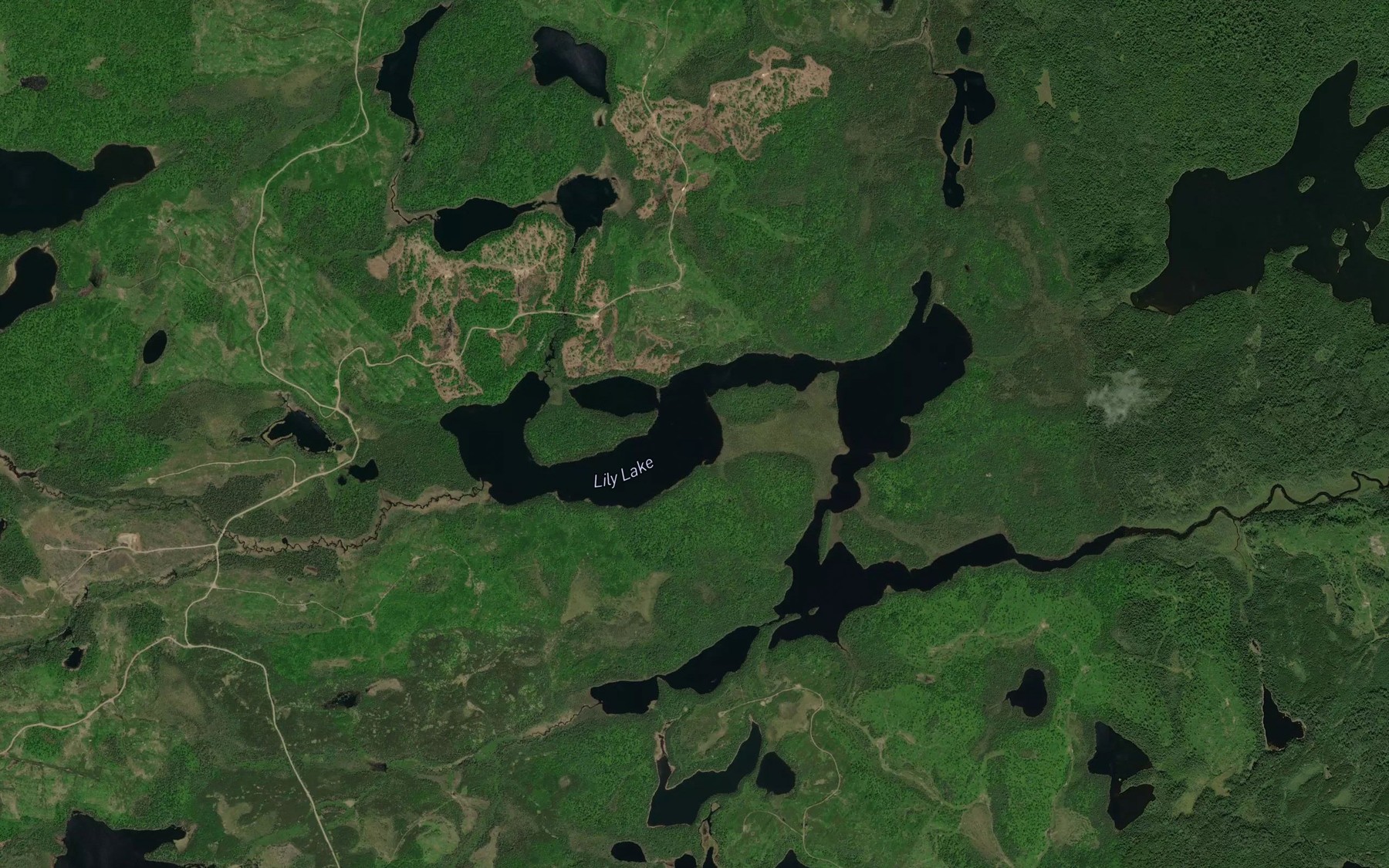 Satellite map of the Lily Lake