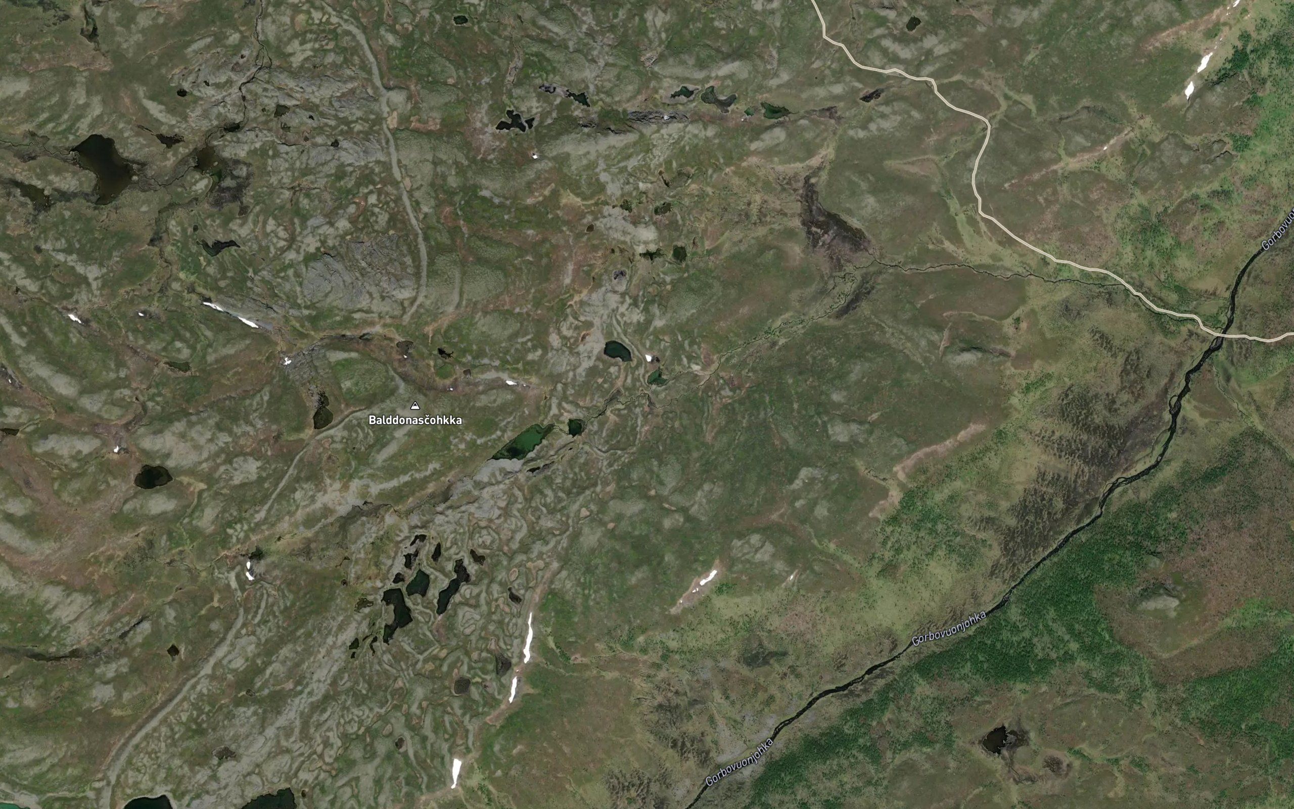 Baldunasjakka