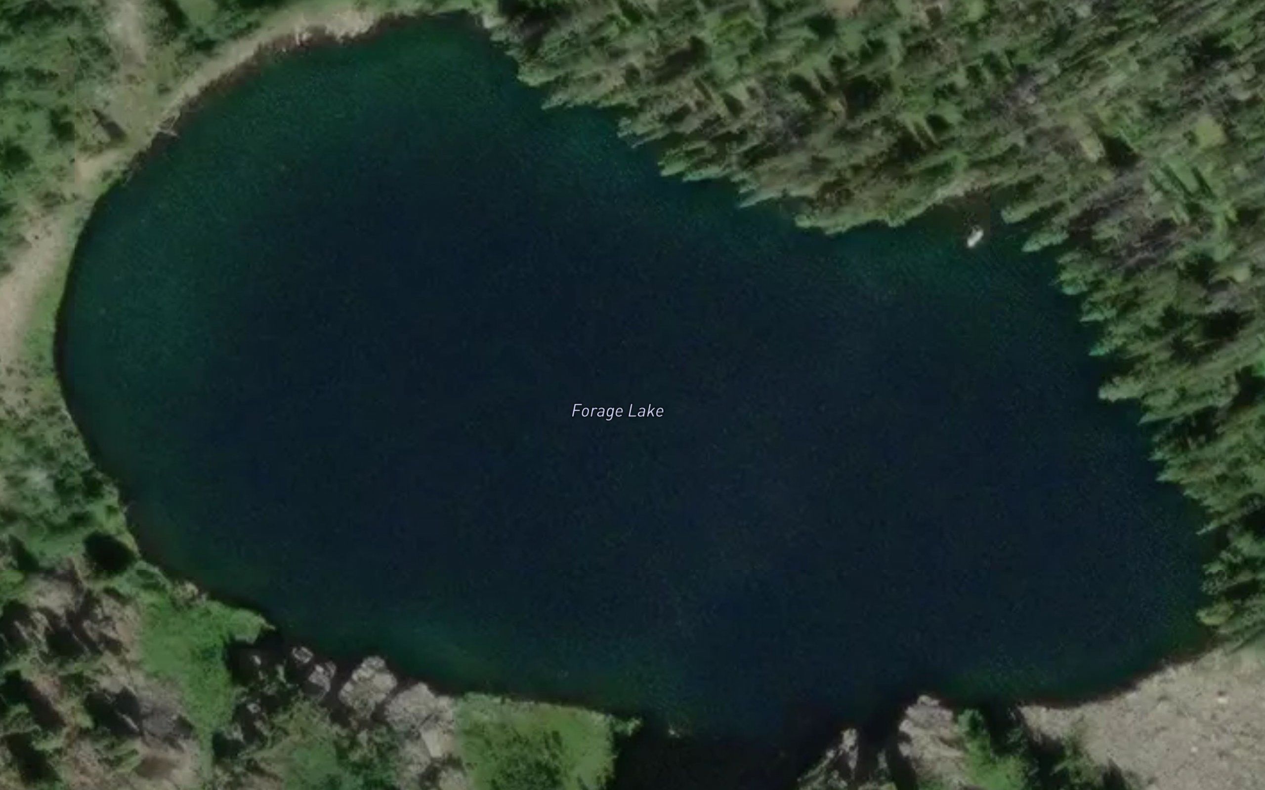 Forage Lake