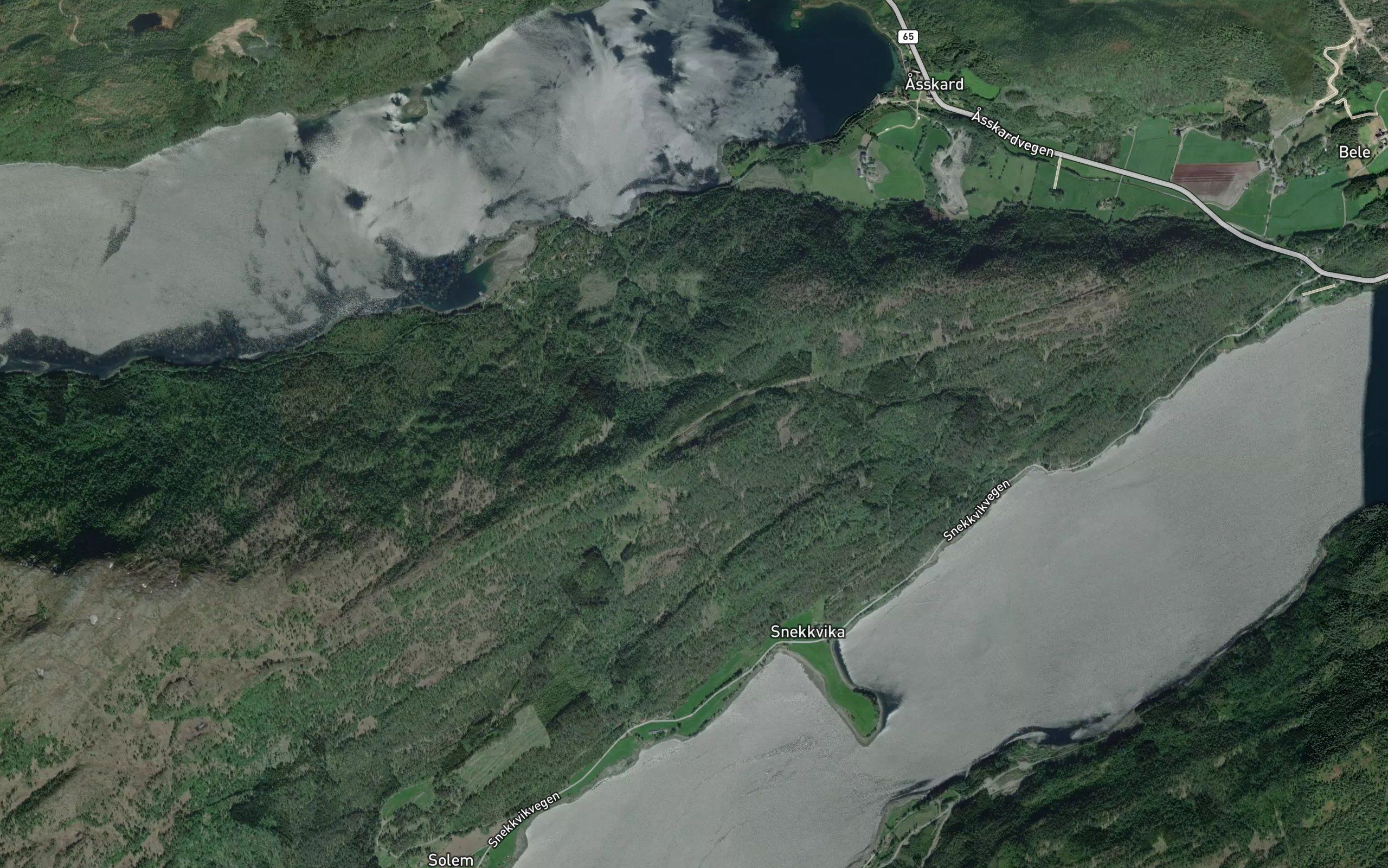 Tjonnskartjonna