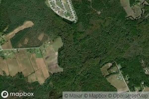 Maple Swamp