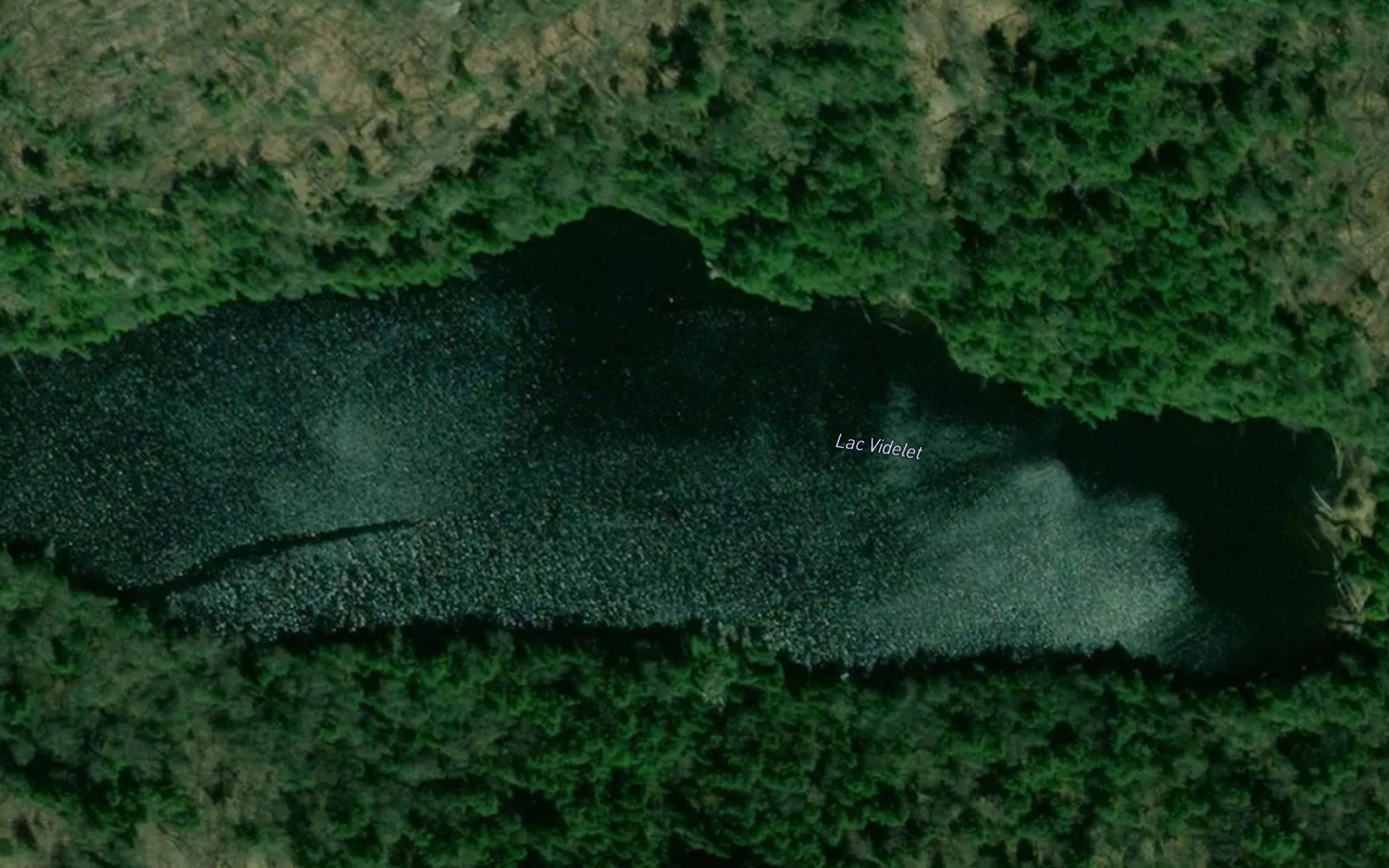 Lac Videlet