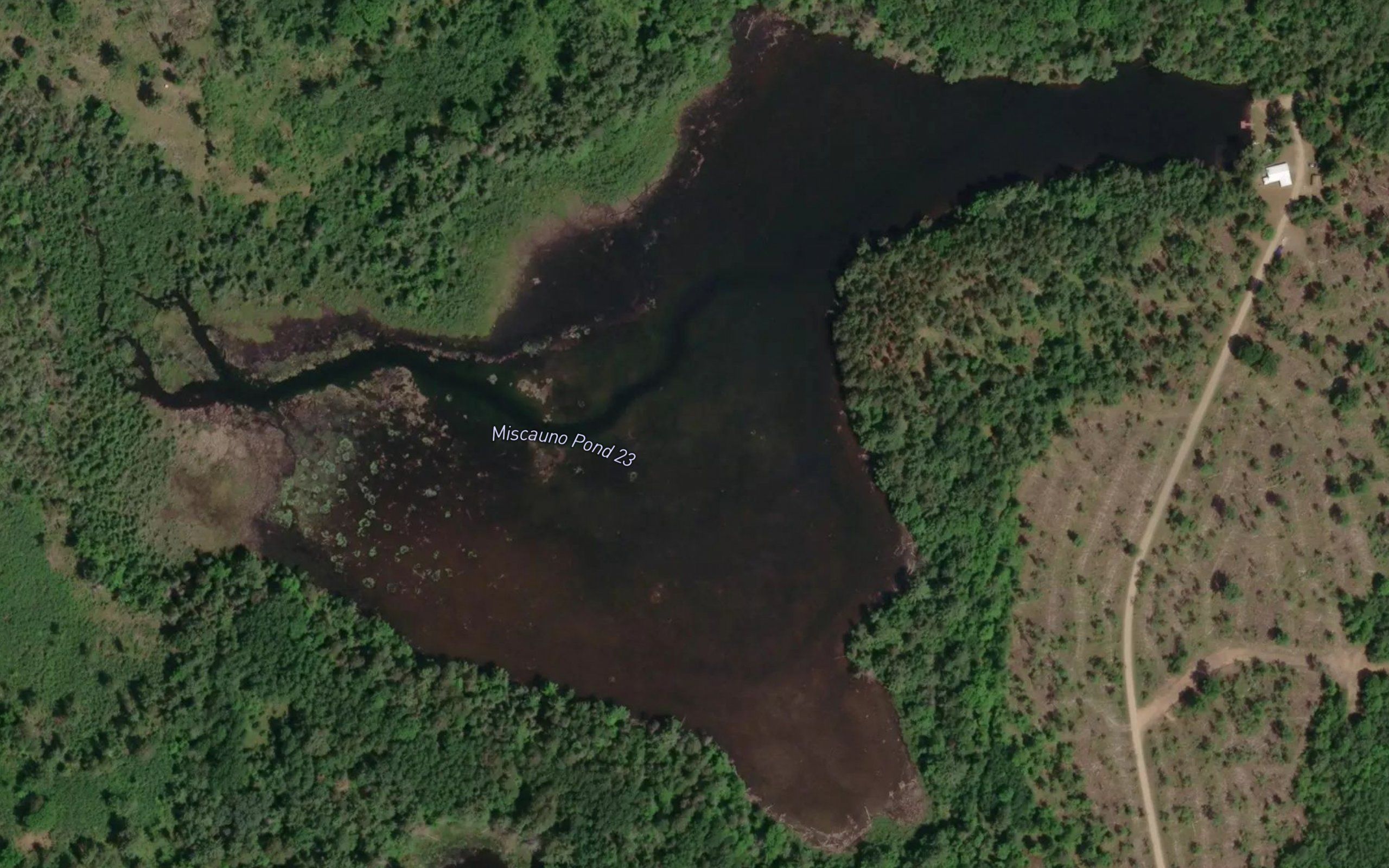 Miscauno Pond