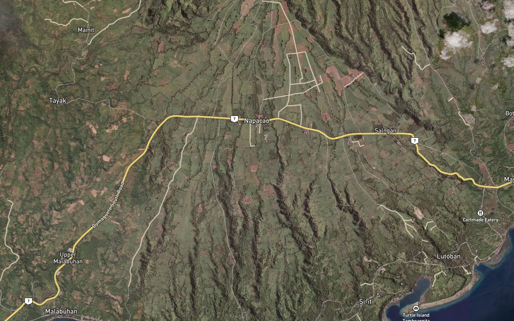 Satellite map of the Pitogo River