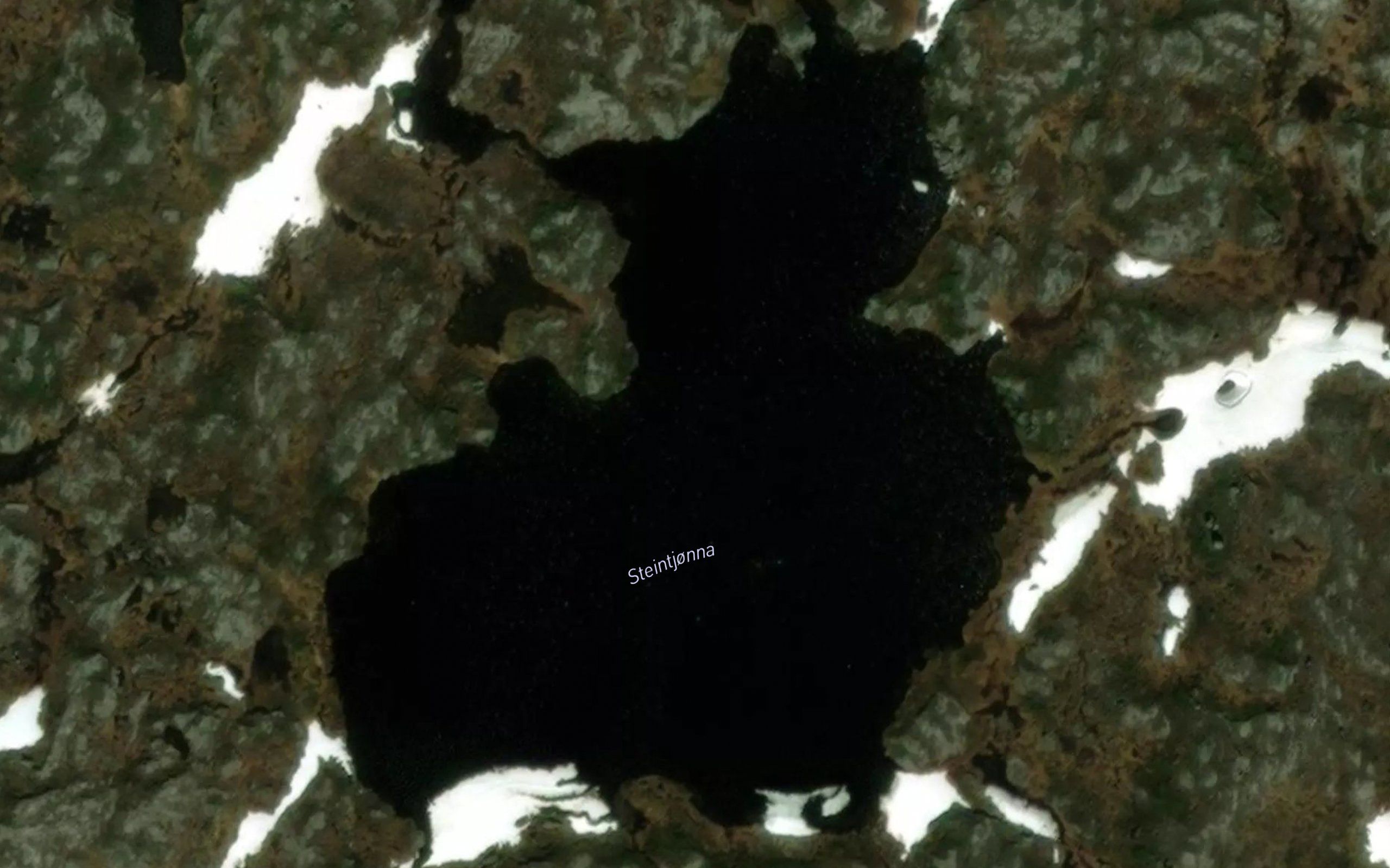 Steintjorna