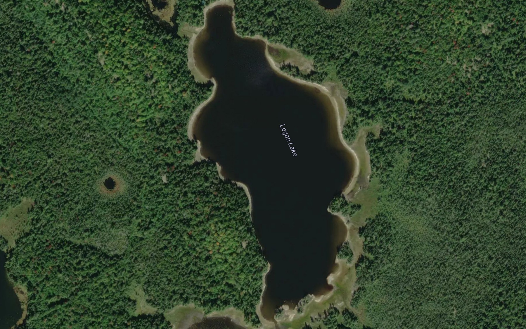 Satellite map of the Logan Lake