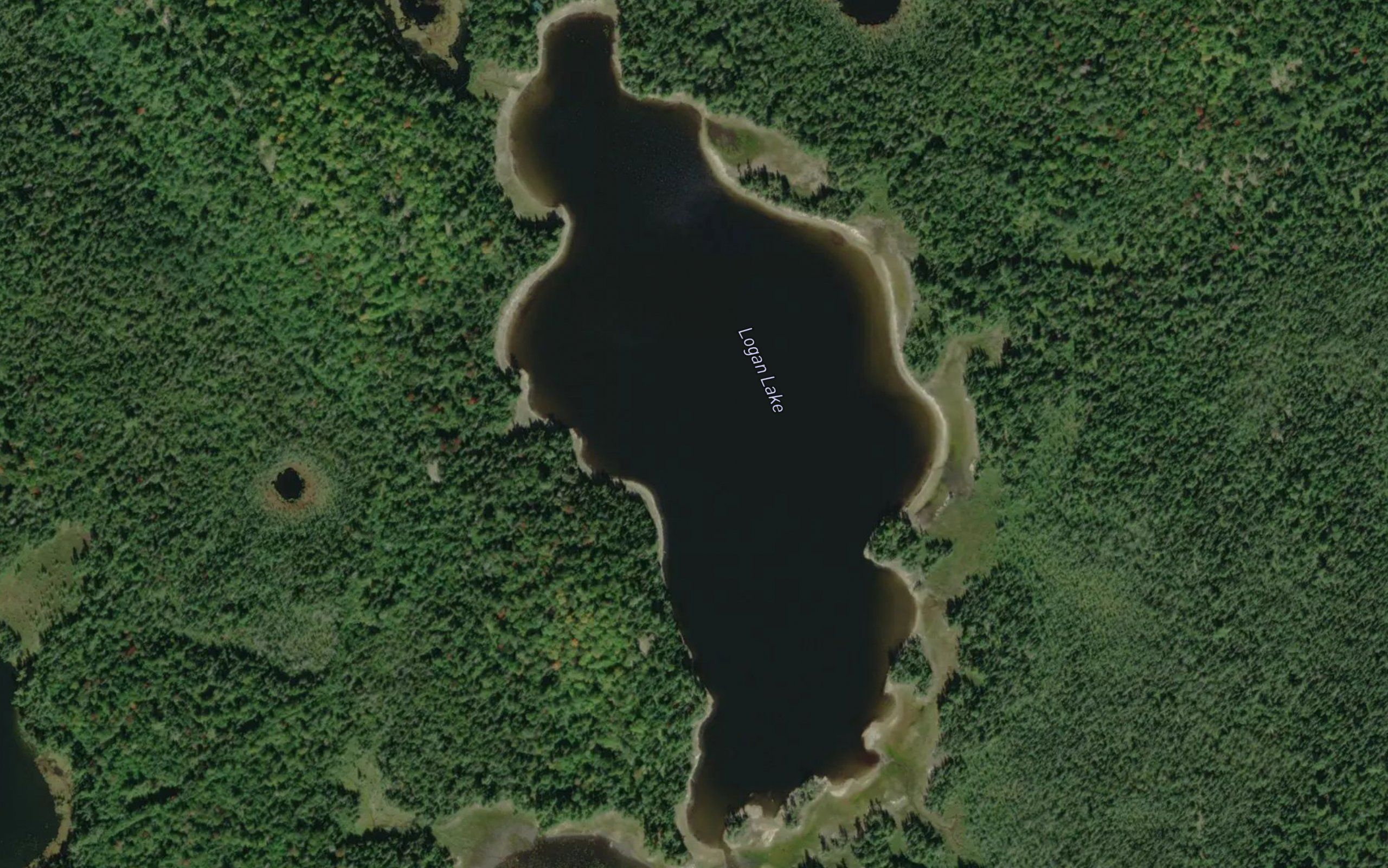 Logan Lake