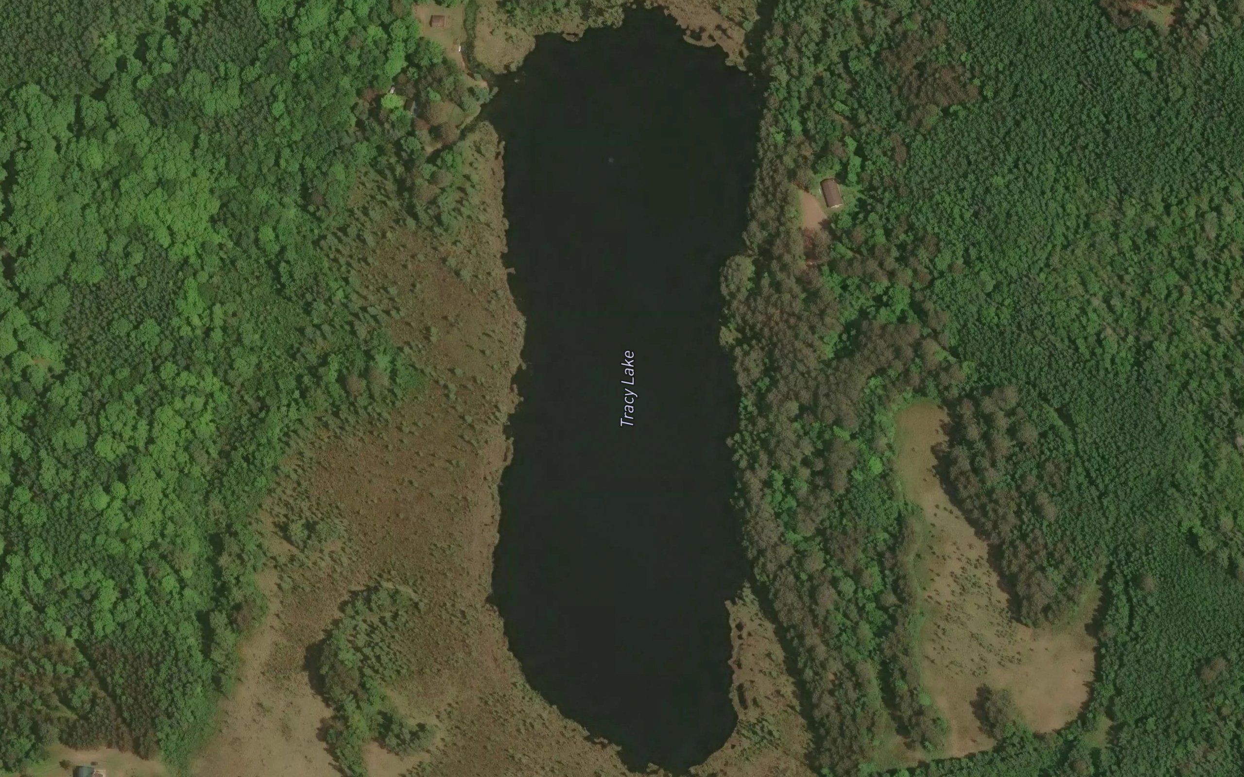 Tracy Lake