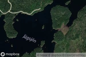 AElgsjoen