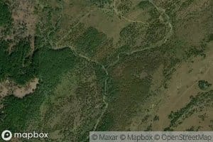 East Branch August Creek