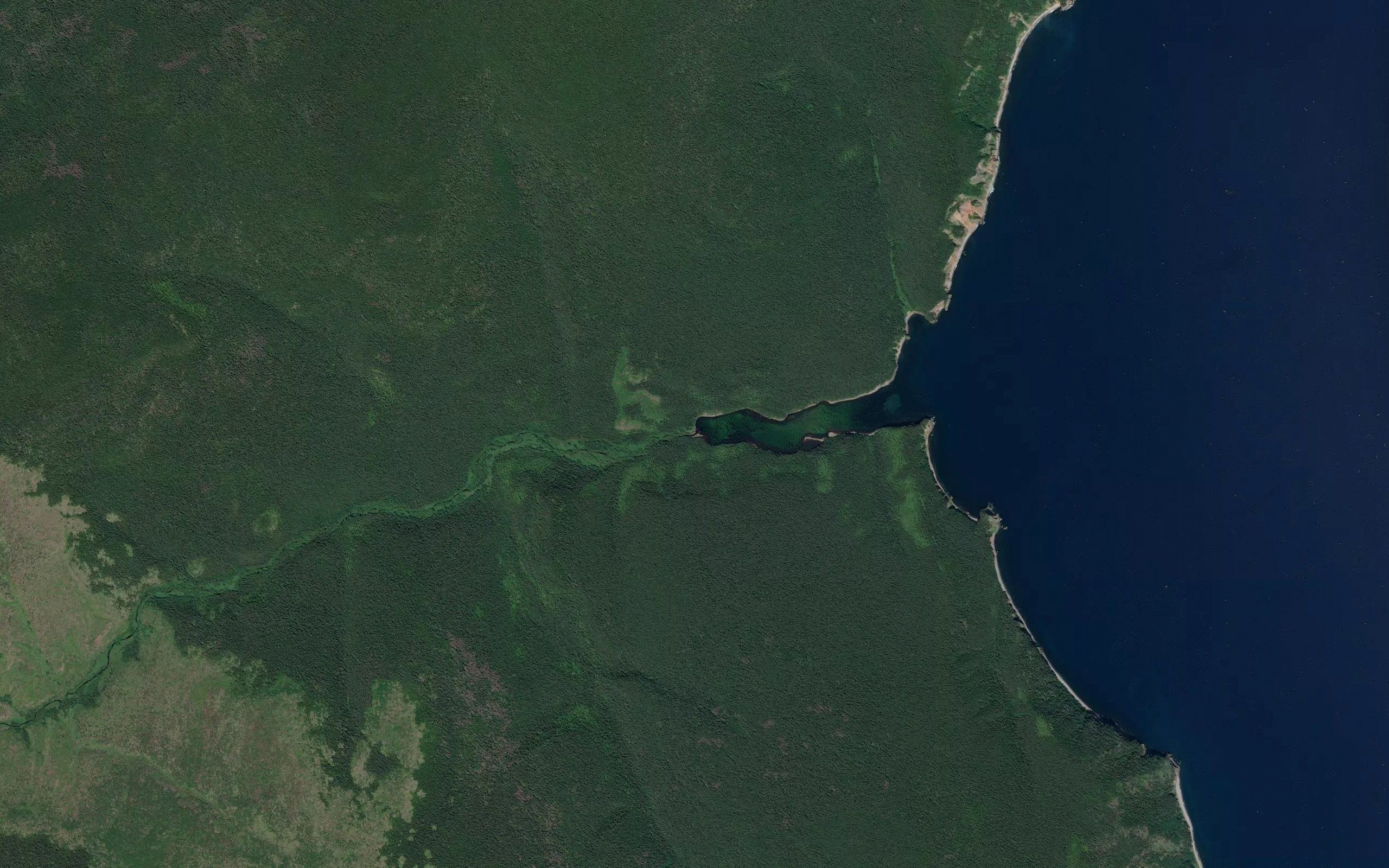 Krestovaya