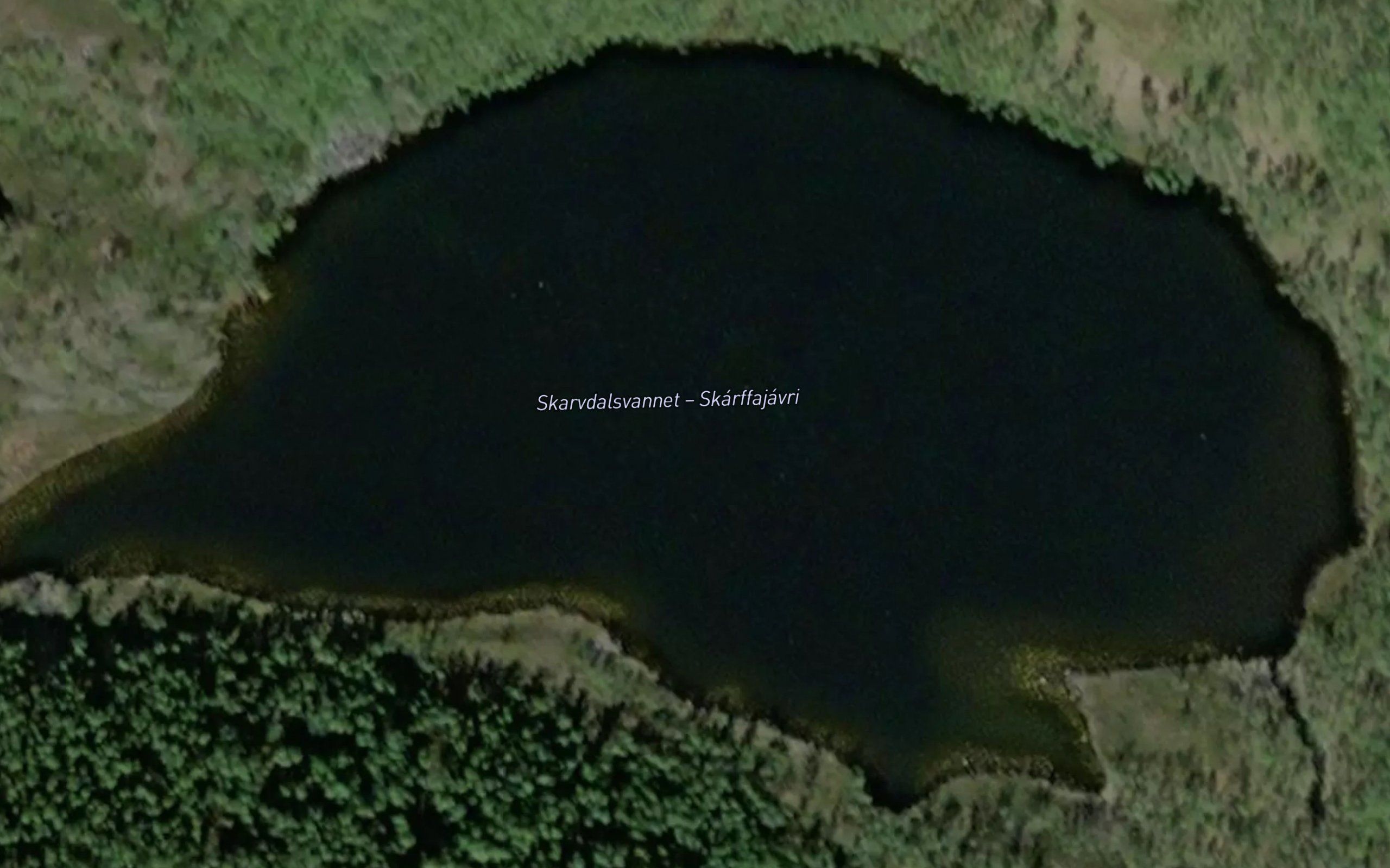 Skarfajavri