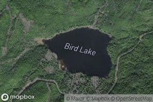 Bird Lake