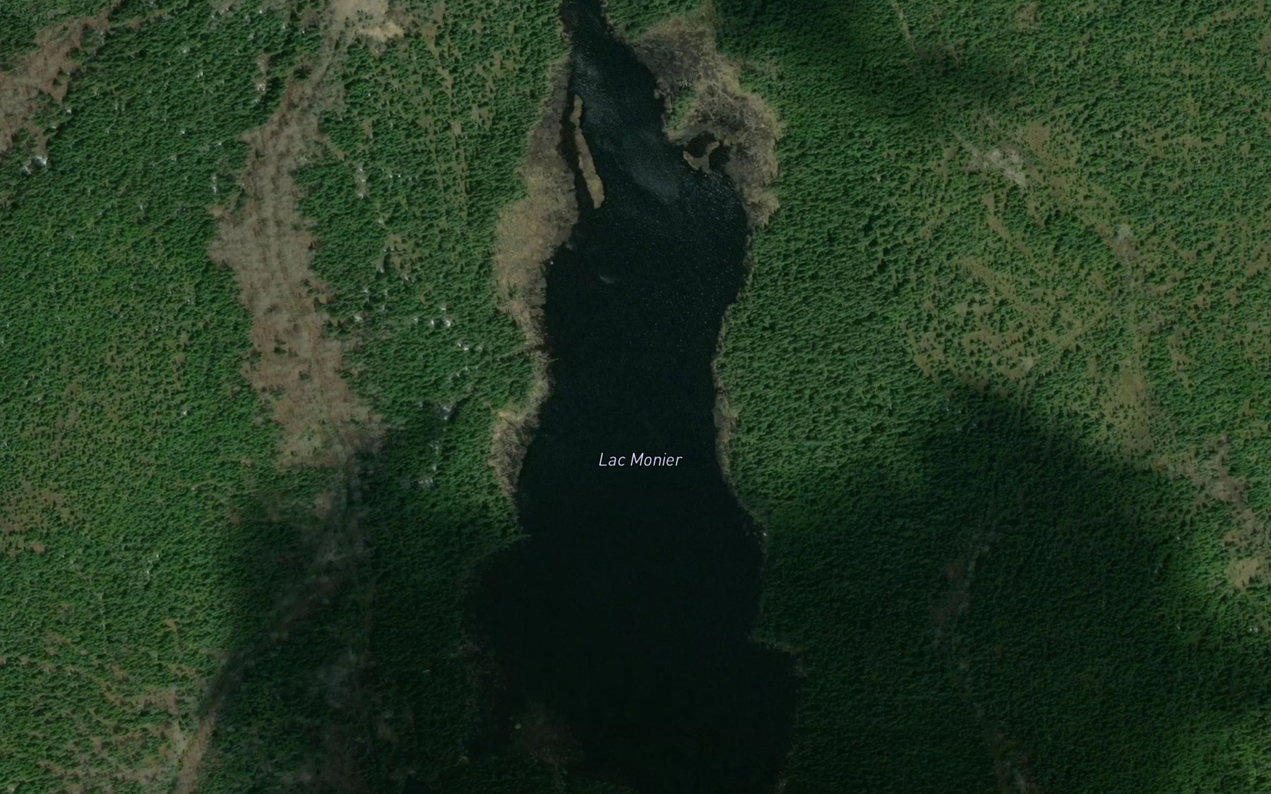 Satellite map of the Lac Monier