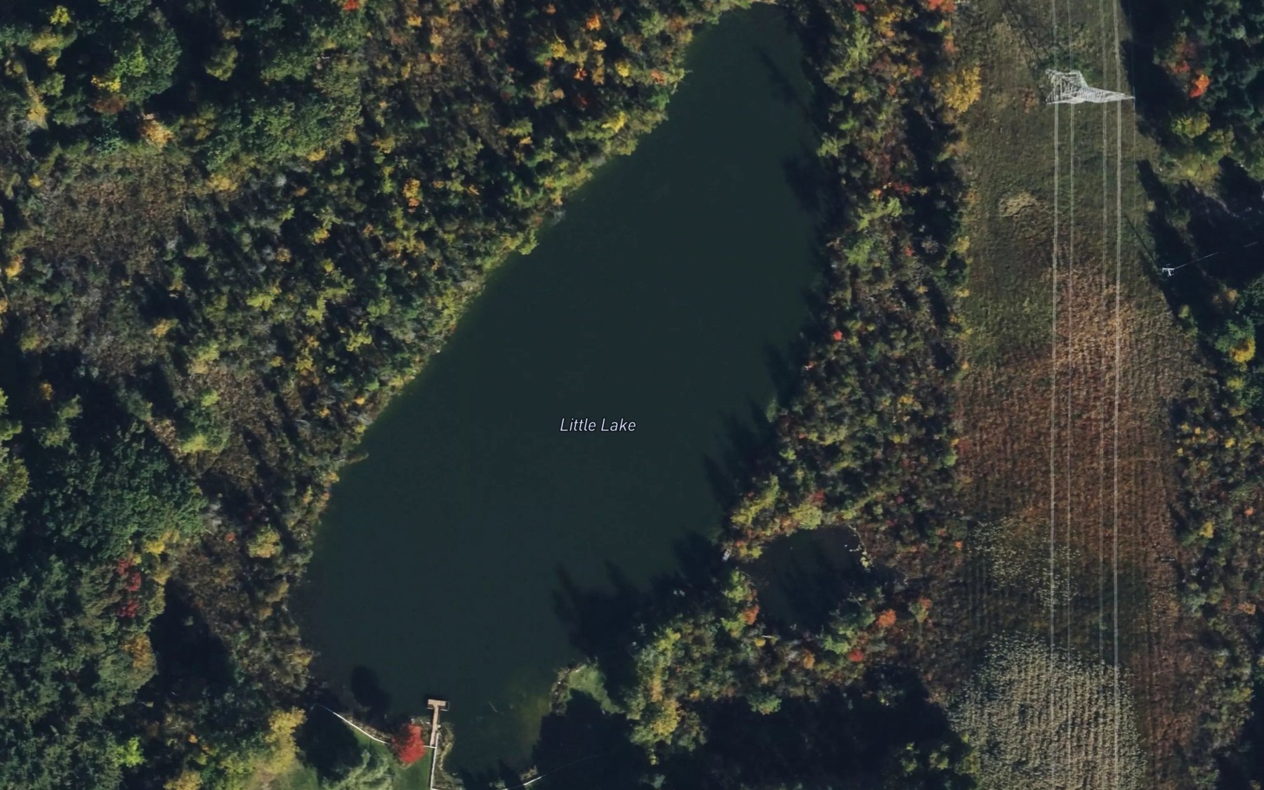 Satellite map of the Little Lake