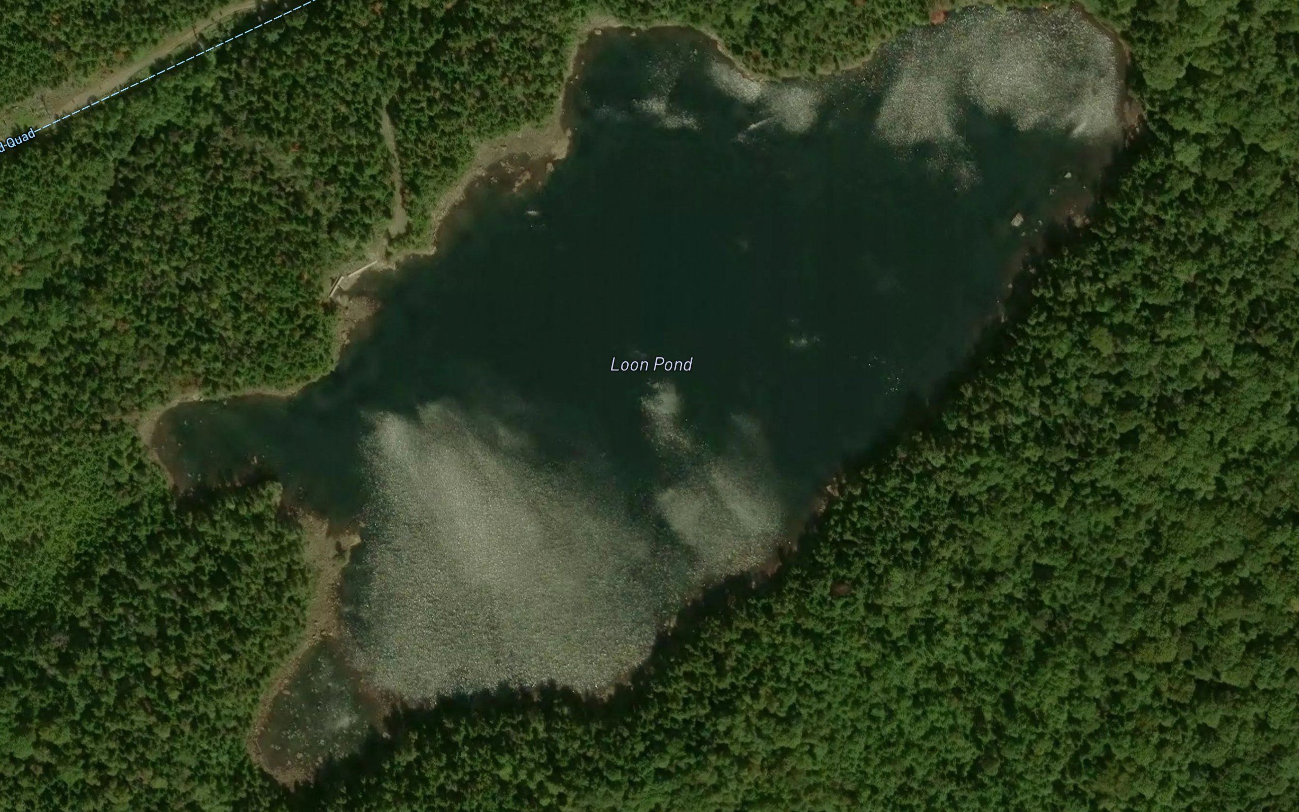 Loon Pond