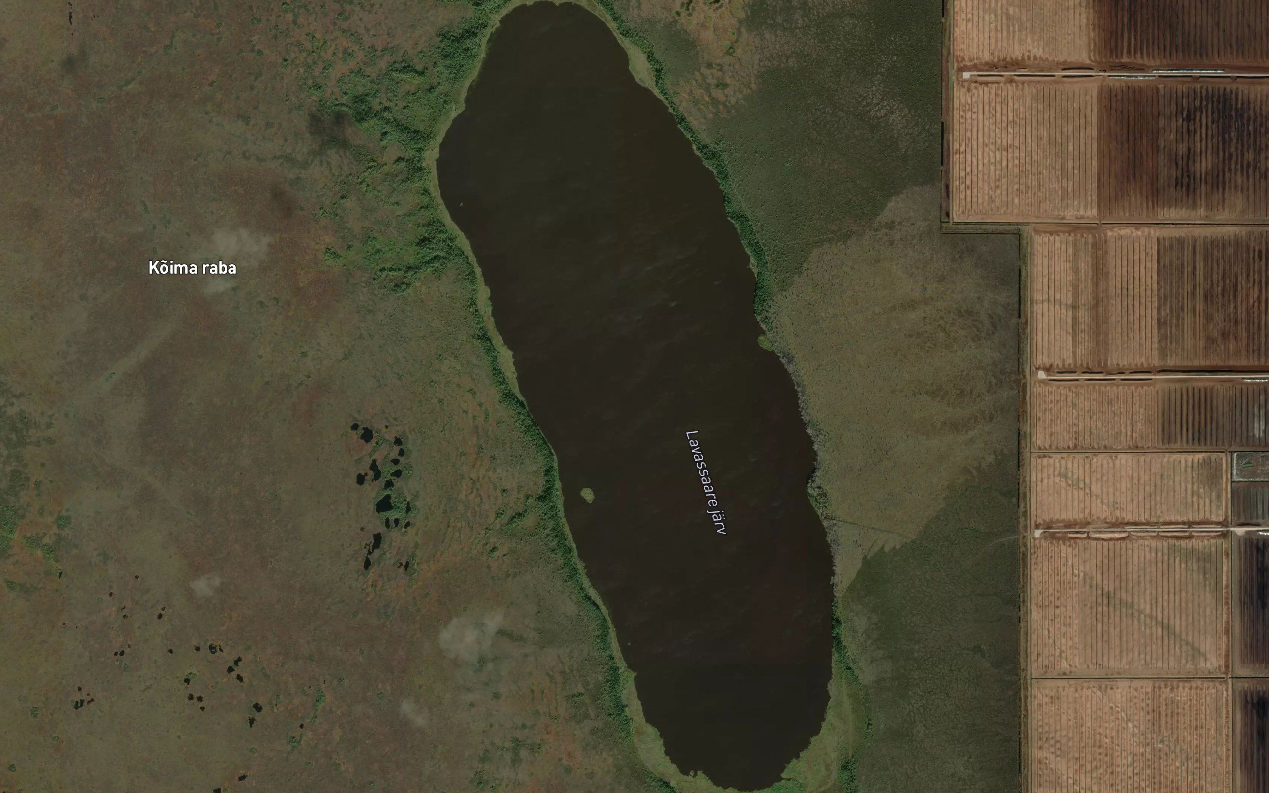 Lavassaare Jarv