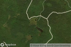Bearsdale Springs