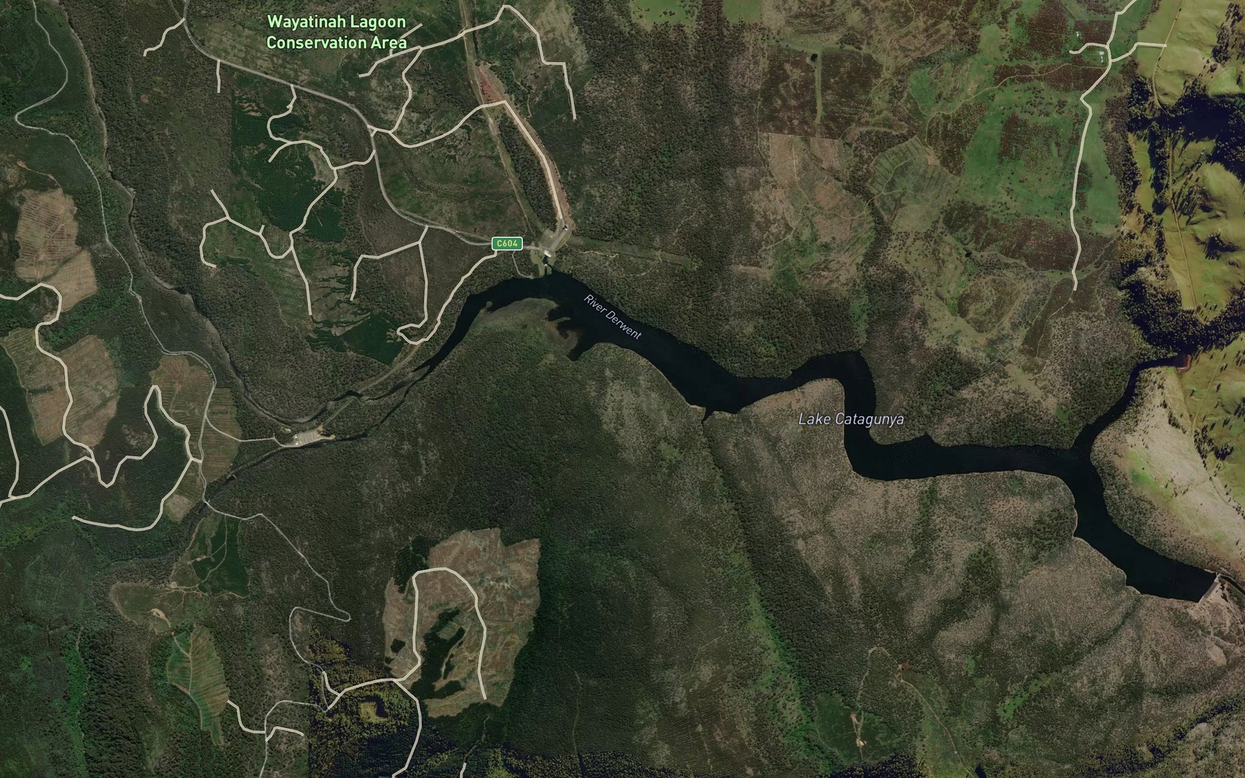 Satellite map of the Jungle Creek
