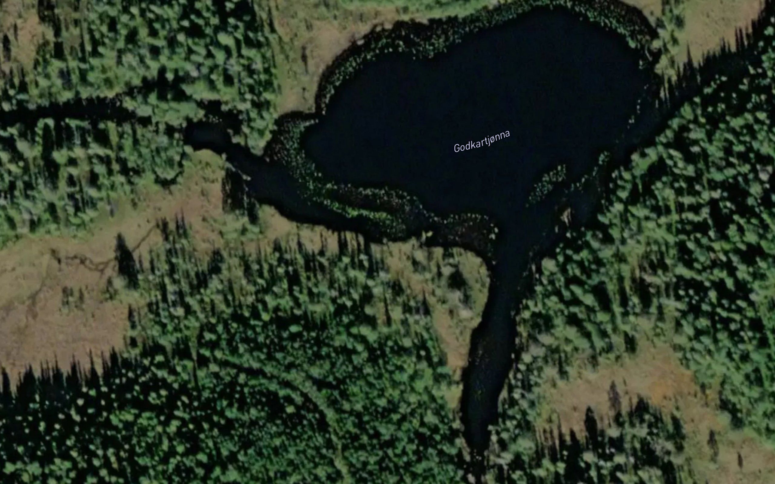 Godkartjorna
