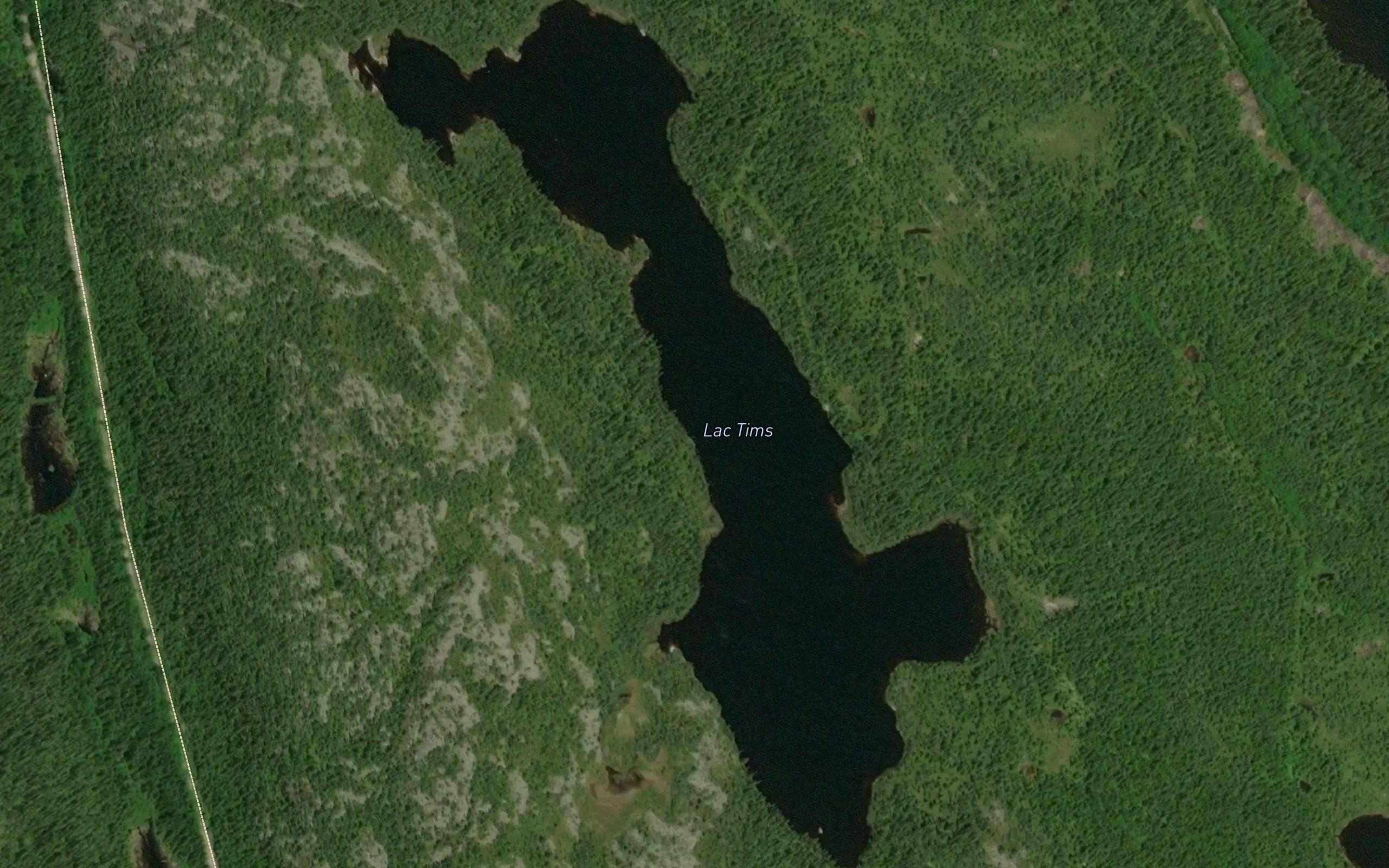 Lac Tims