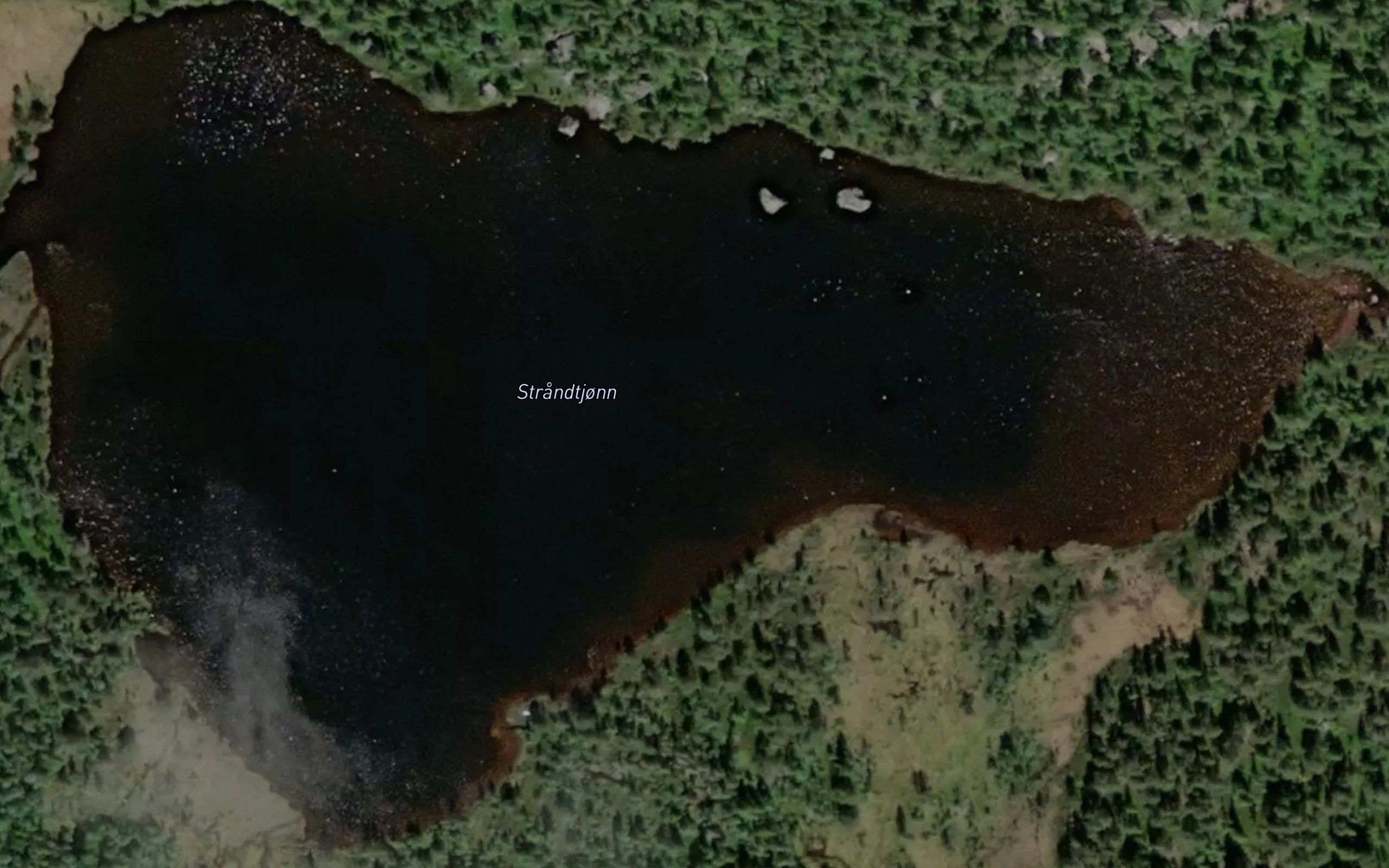Strandtjonn