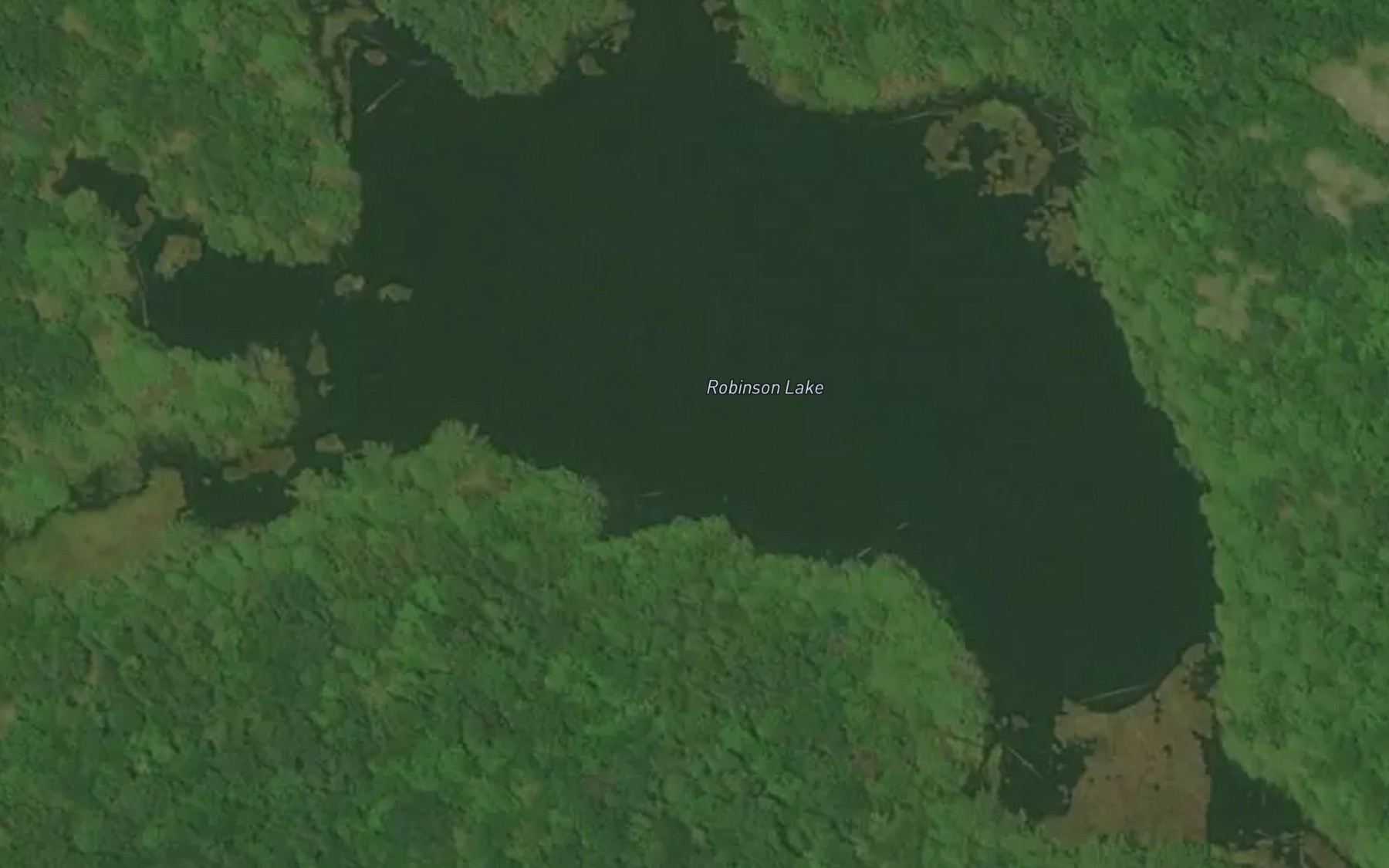 Satellite map of the Robinson Lake