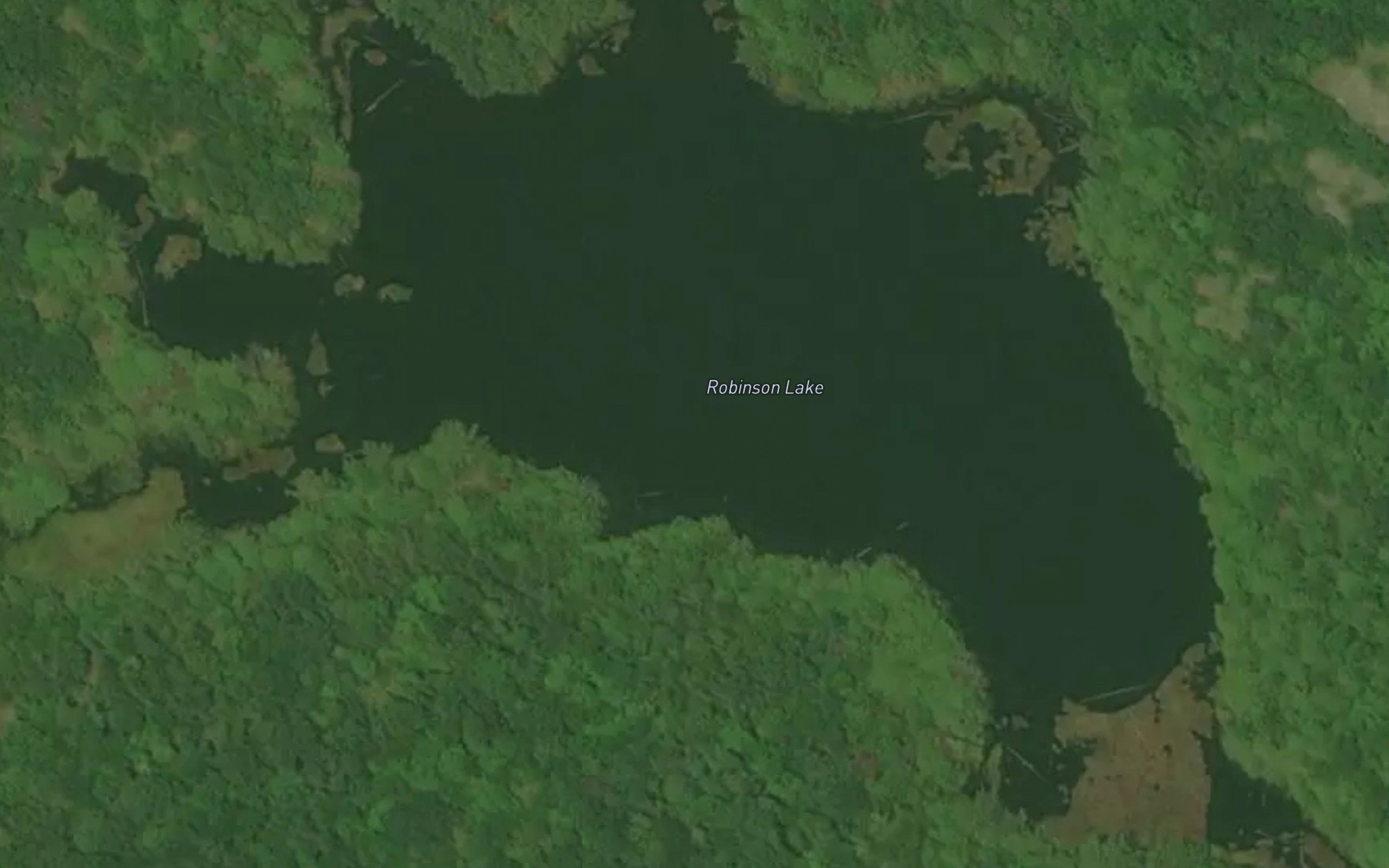 Robinson Lake