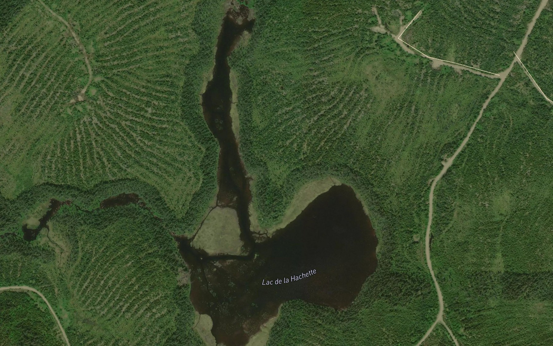 Satellite map of the Lac de la Hachette