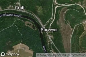 Surveyor Run