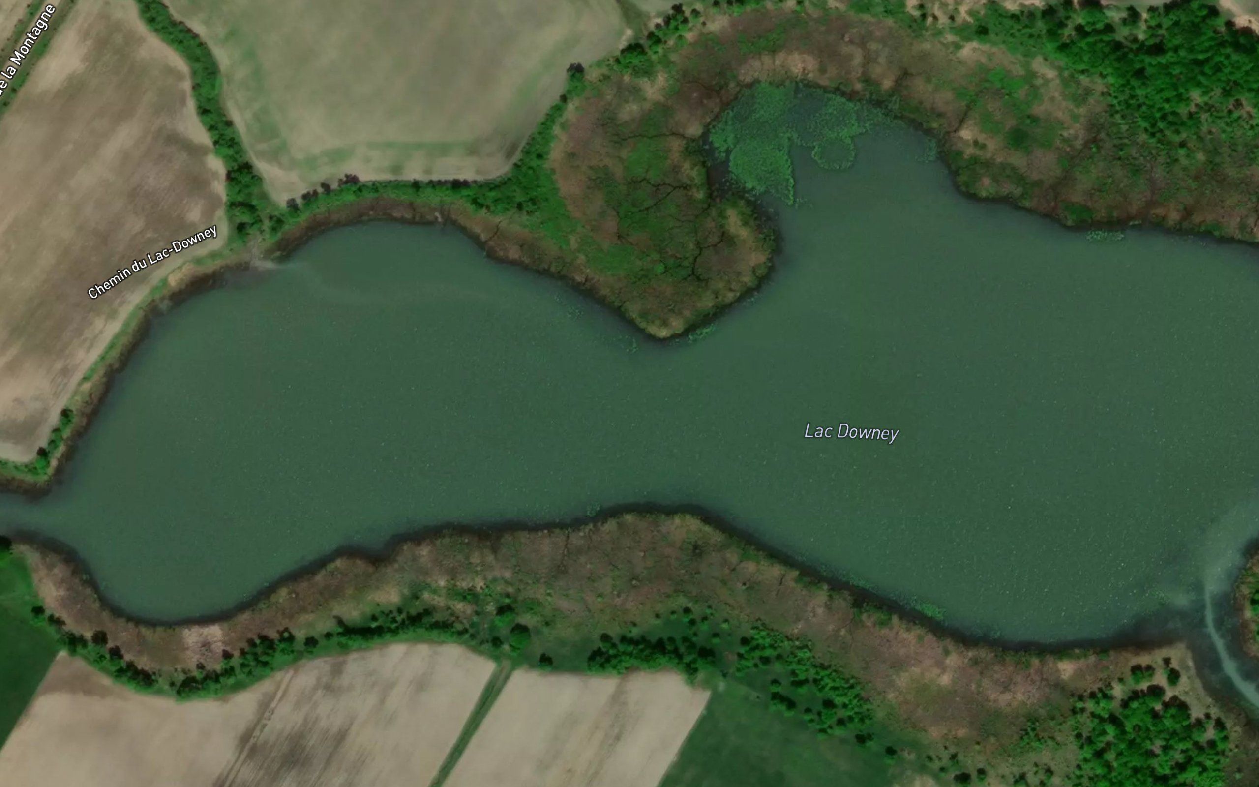 Lac Downey
