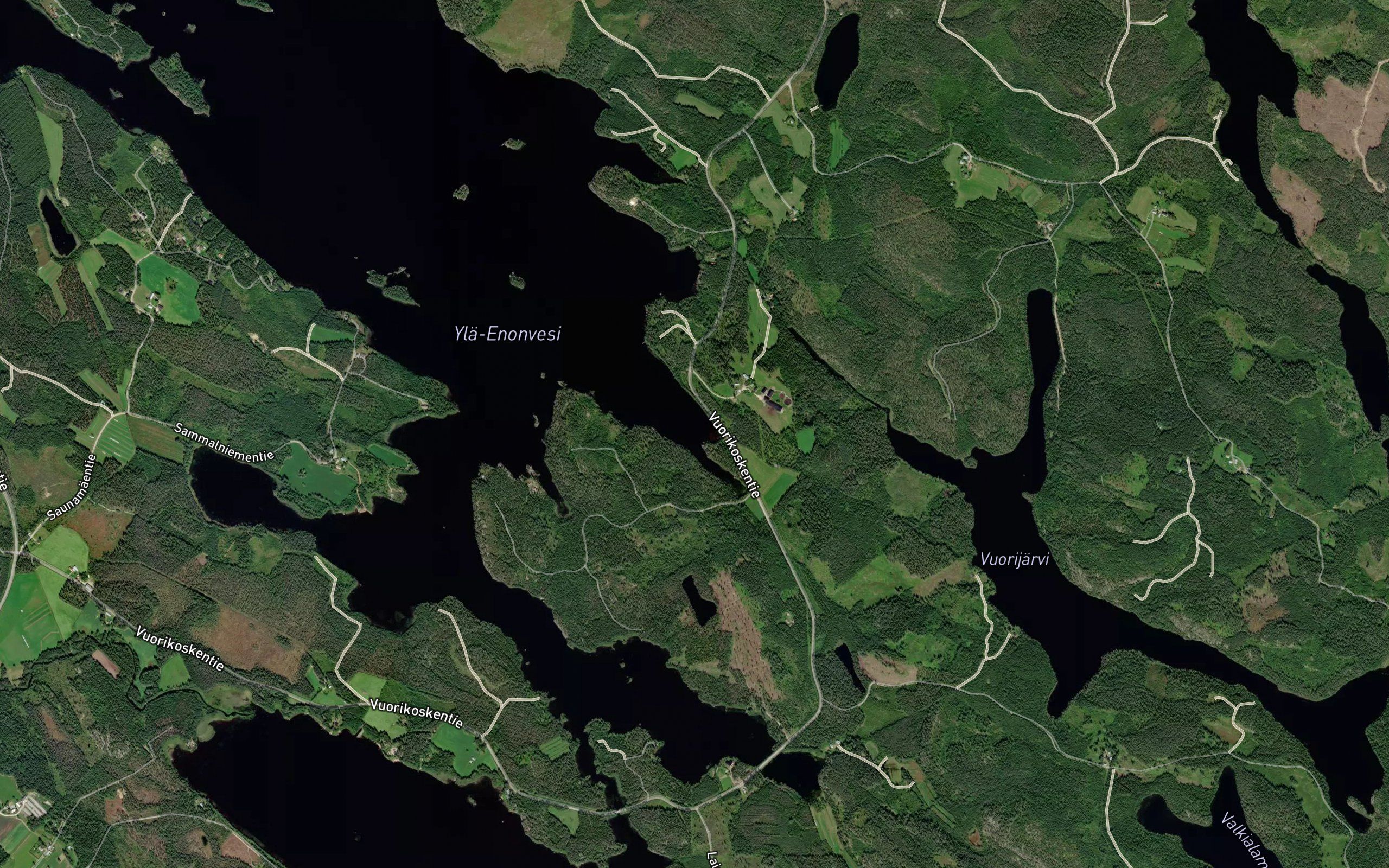 Pitkalahti