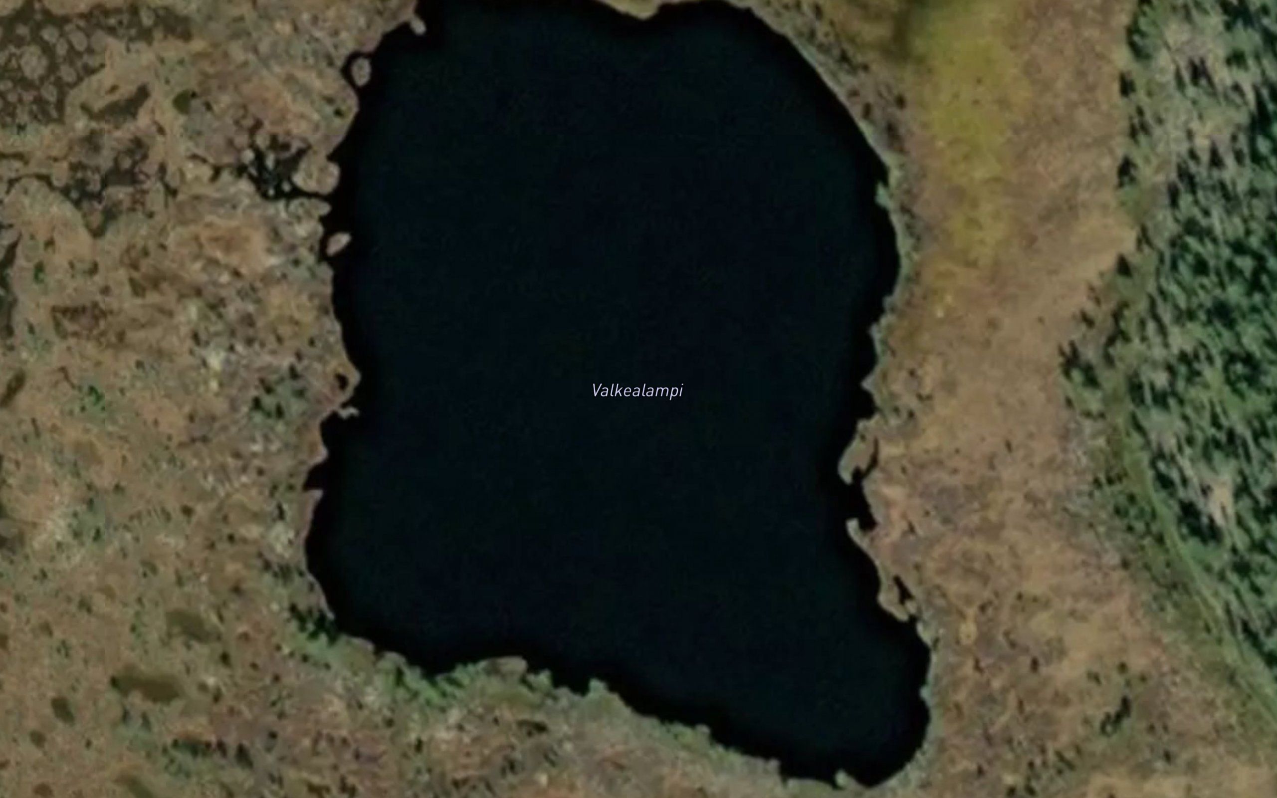 Valkealampi