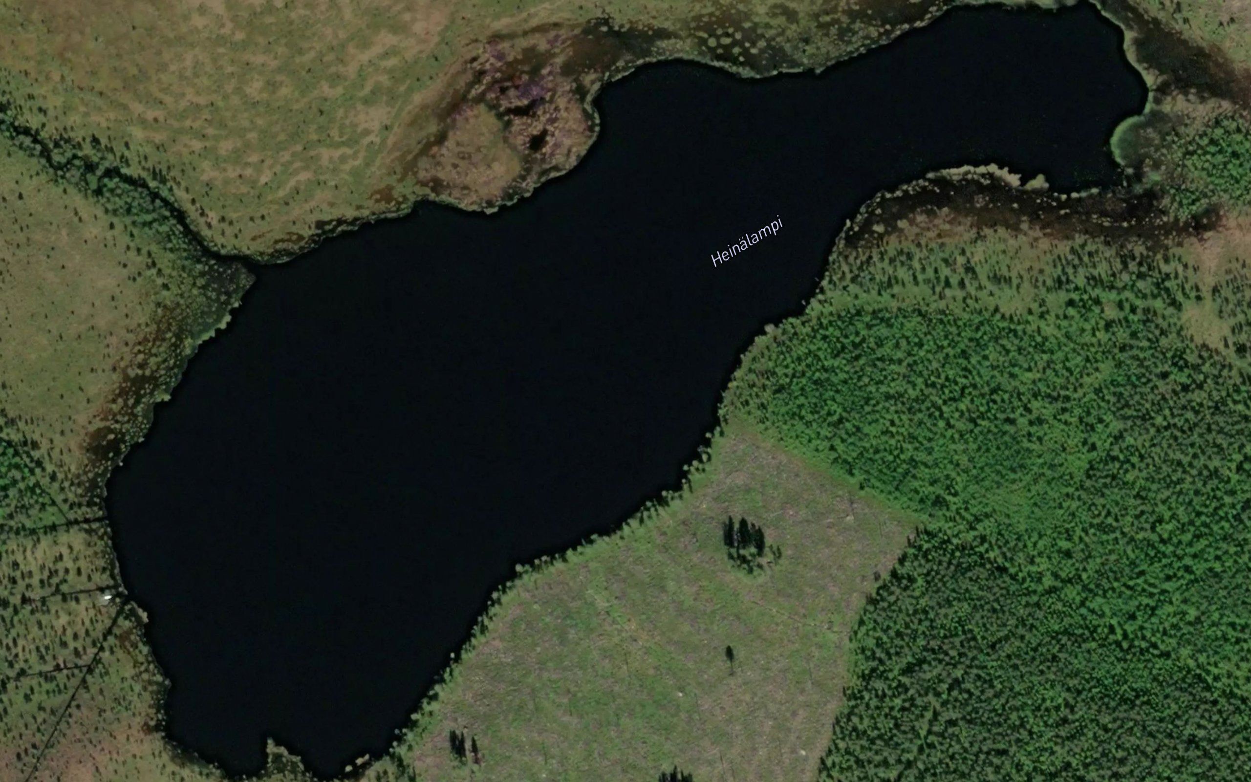 Heinalampi