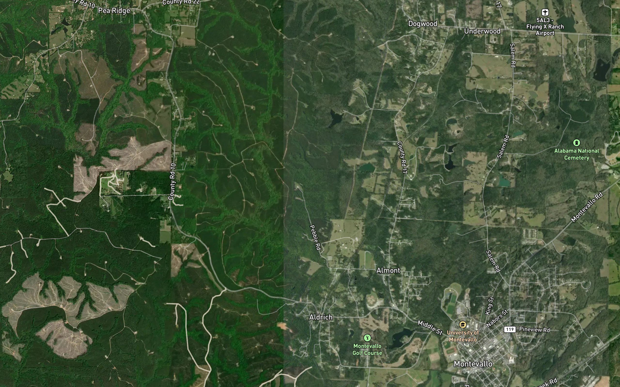 Gentry Springs