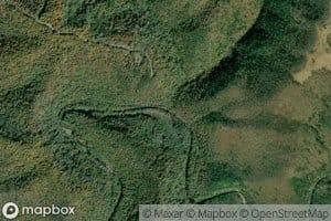 Chestnut Knob Branch