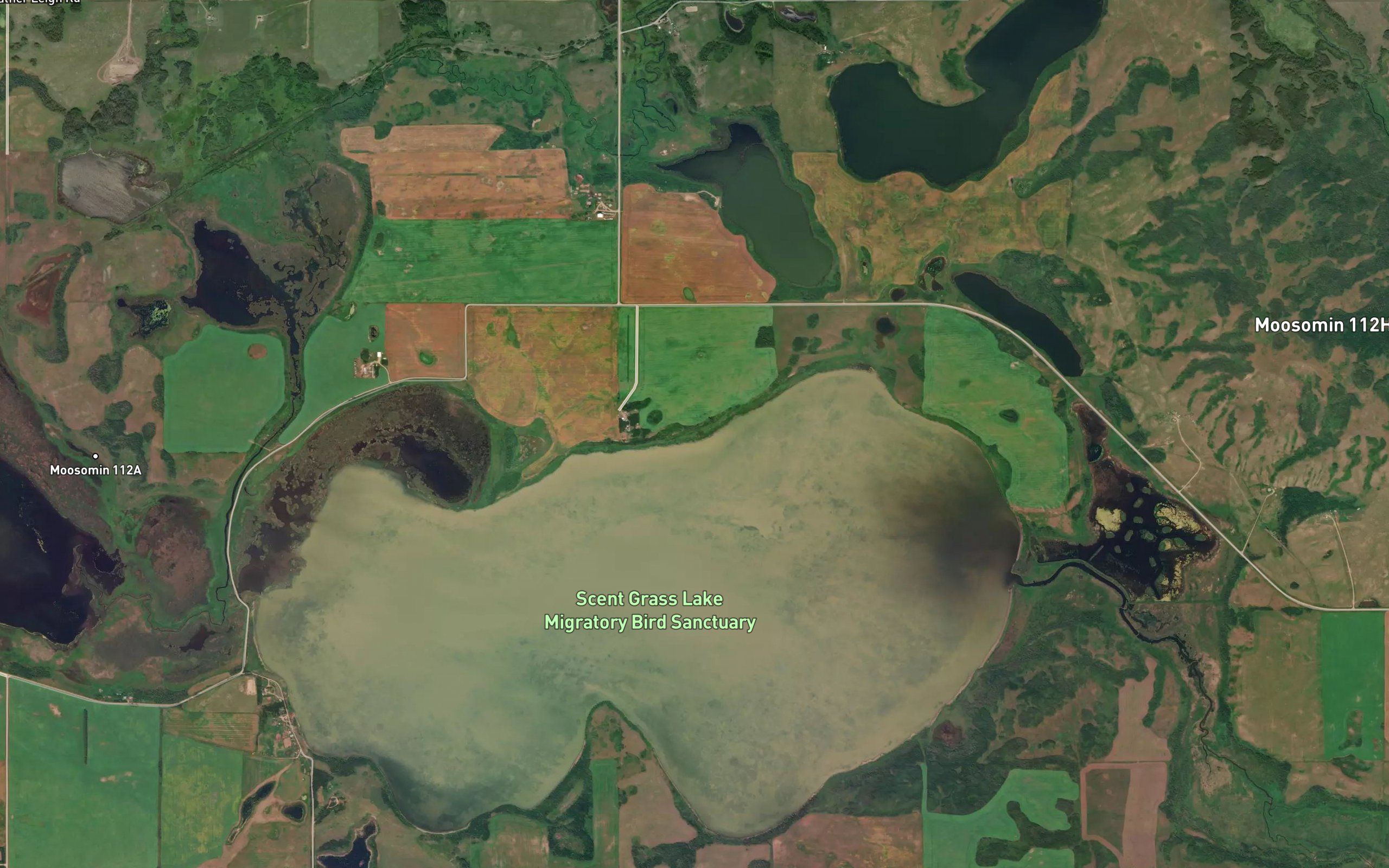 Scentgrass Lake