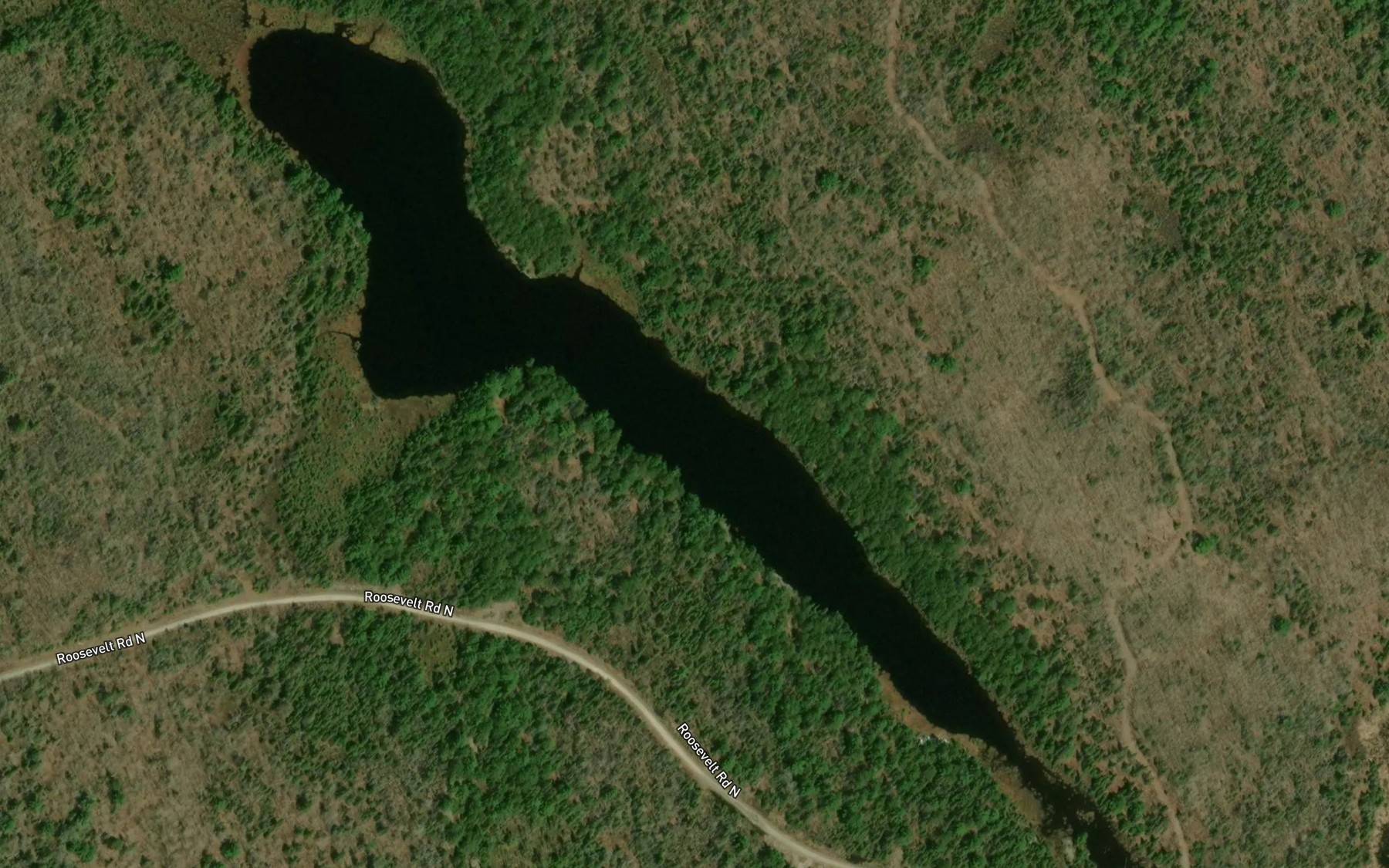 Satellite map of the Blueberry Lake