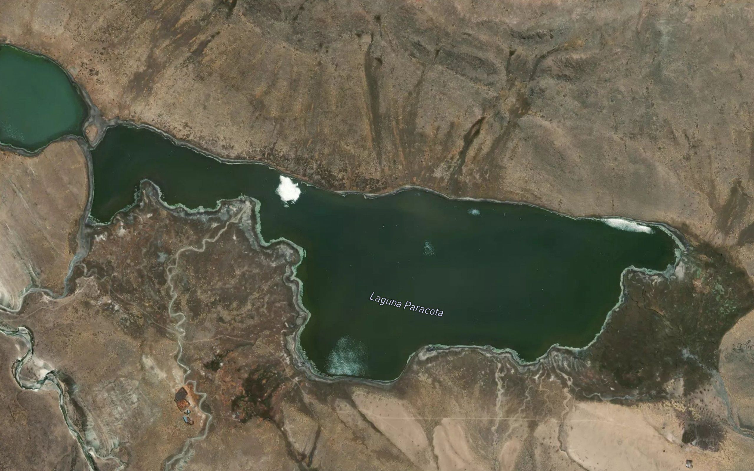 Laguna Paracota