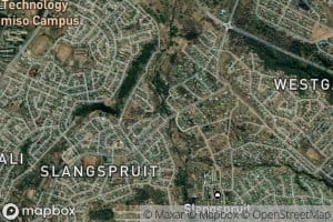 Slangspruit