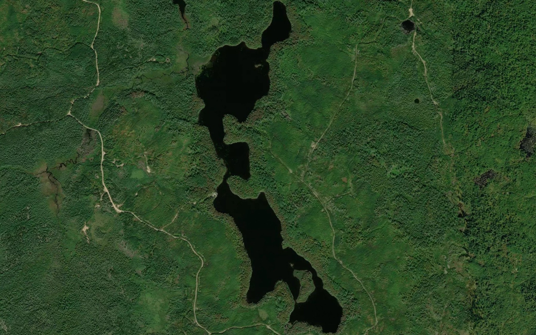 Satellite map of the Whitney Lake