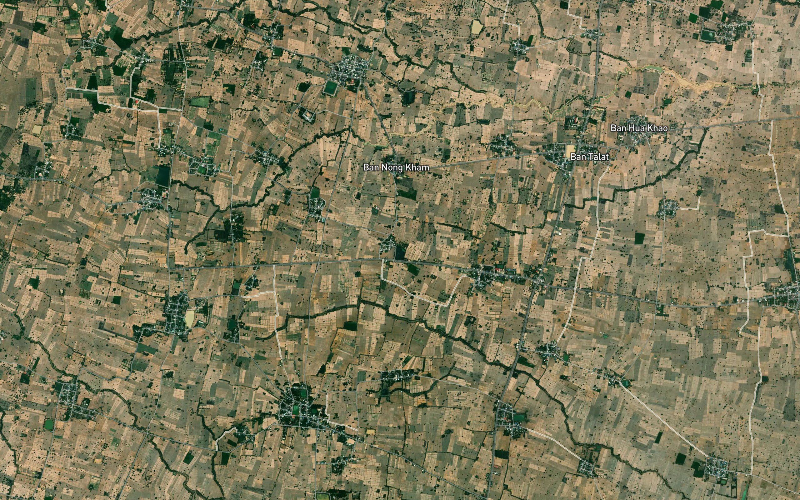 Nong Yai