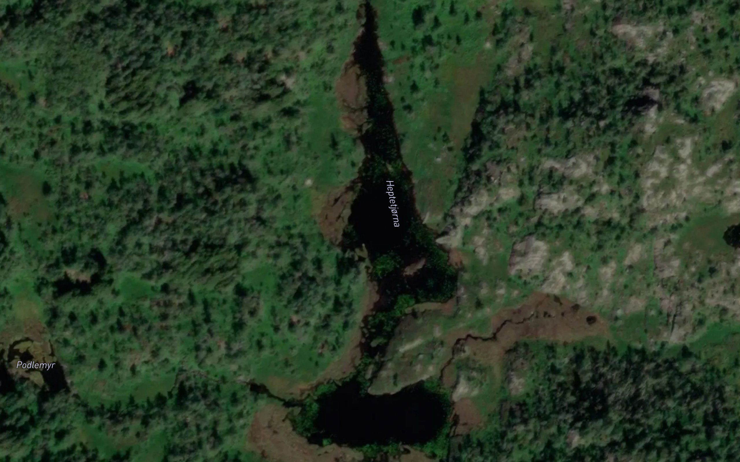 Heptetjorna