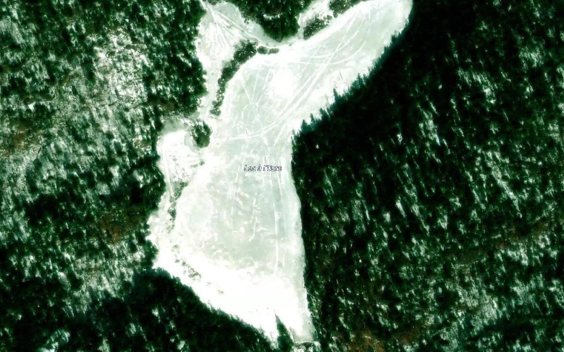 Satellite map of the Lac a l'Ours