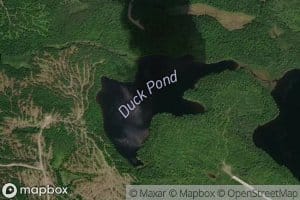 Duck Pond