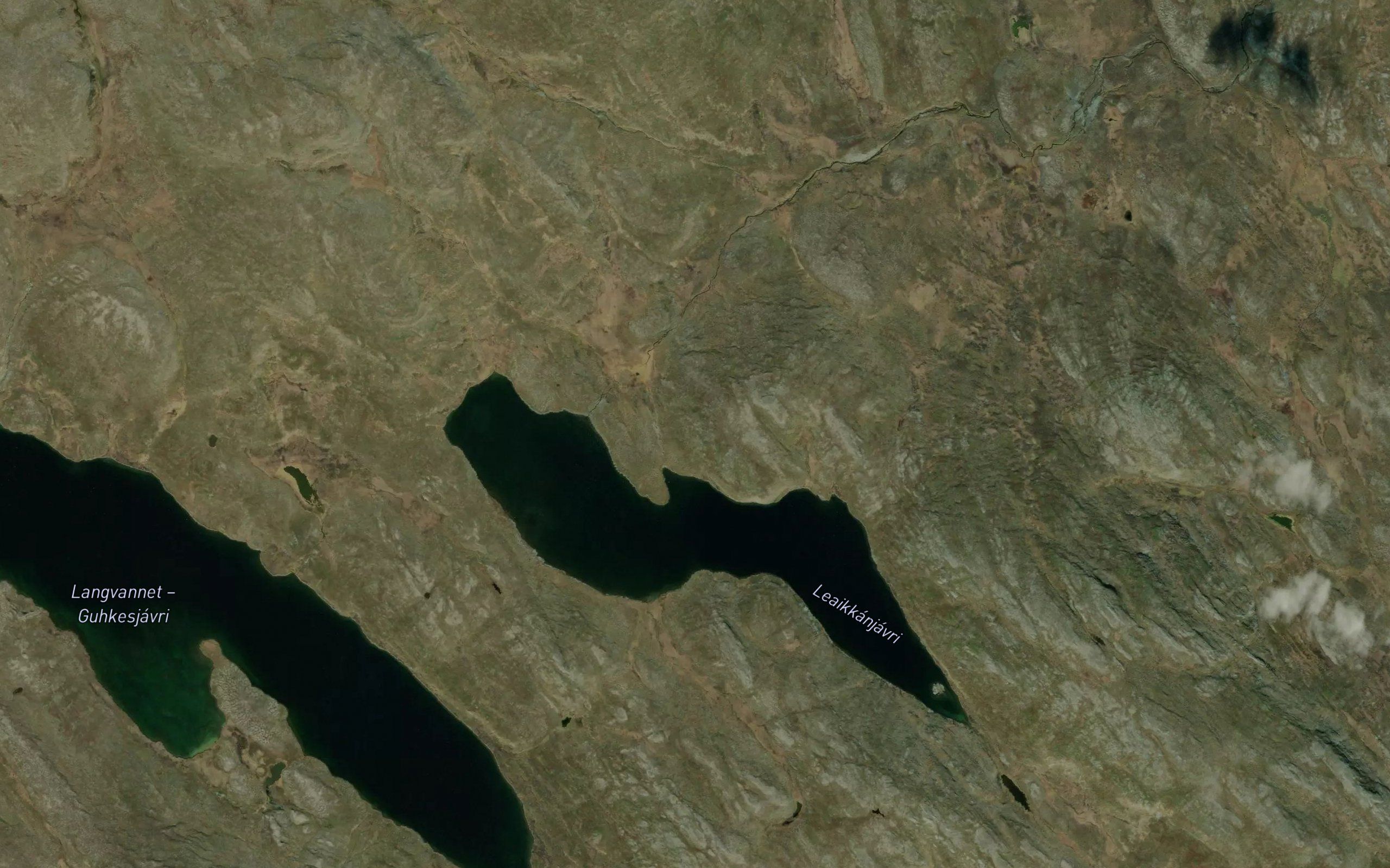 Dallajuol'gi