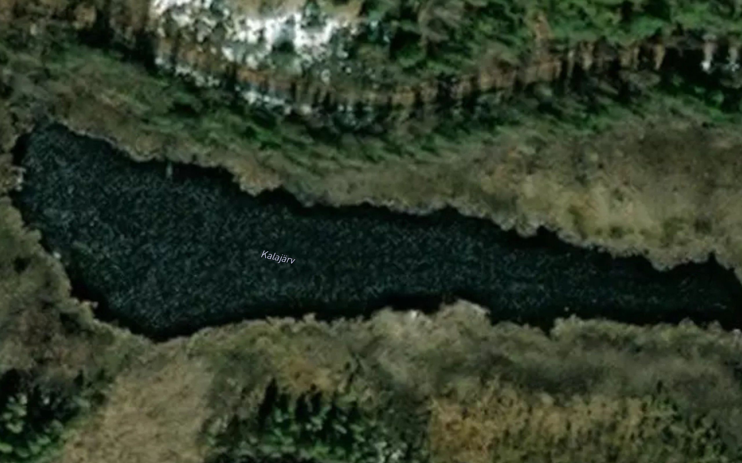 Kalajarv