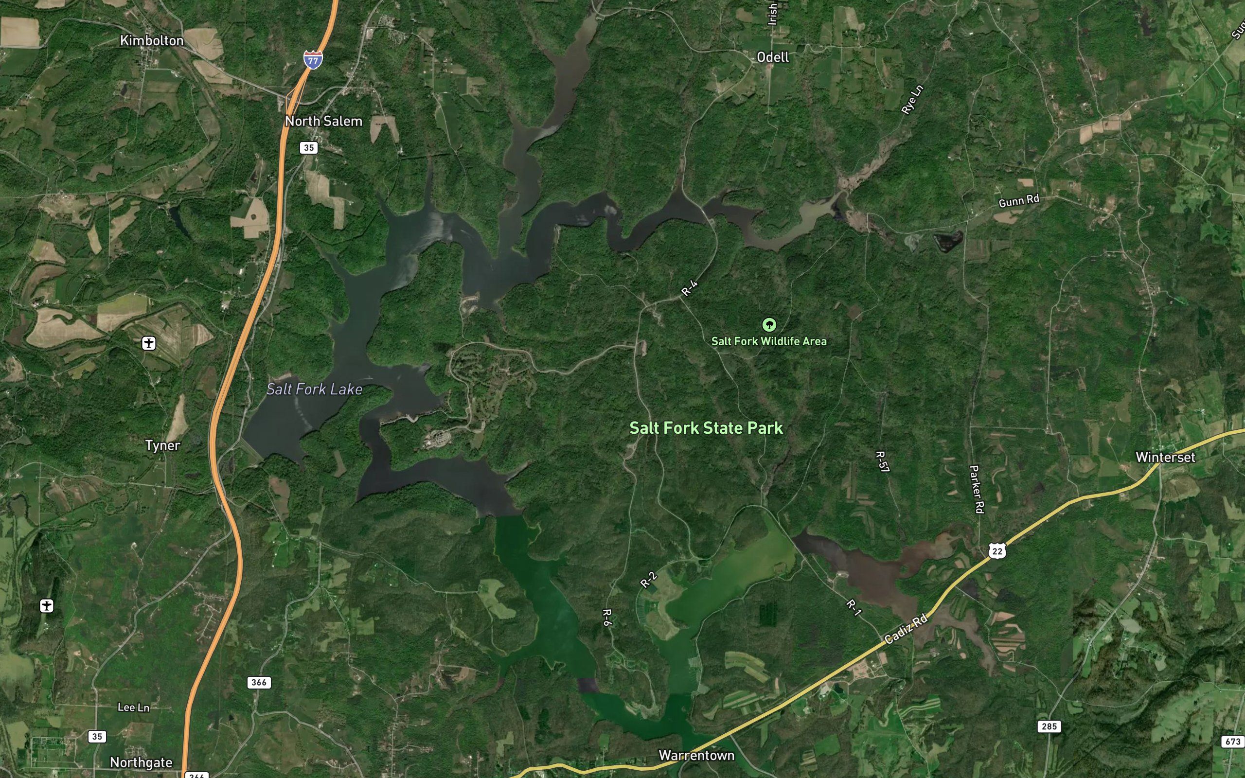 Salt Fork