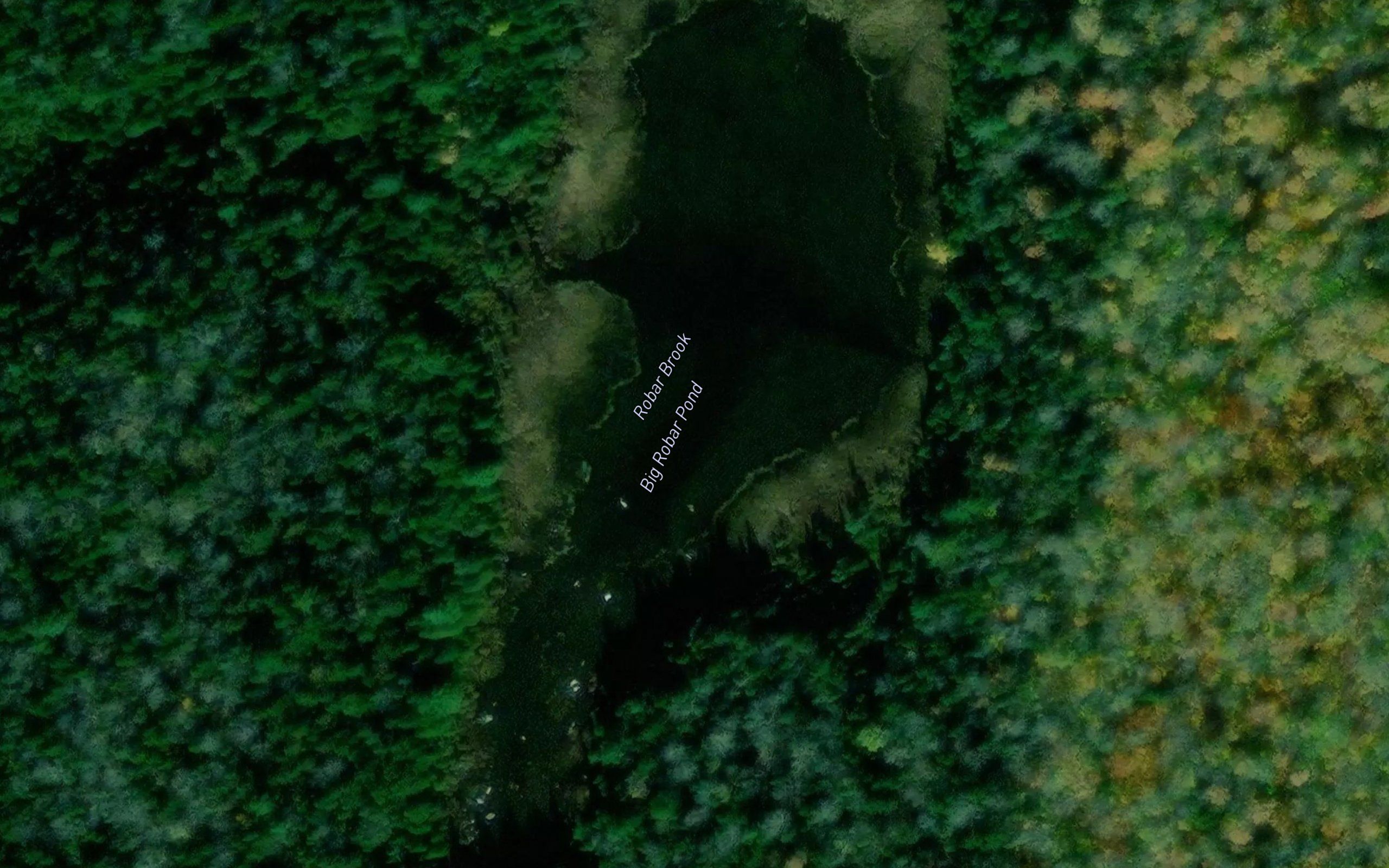 Big Robar Pond
